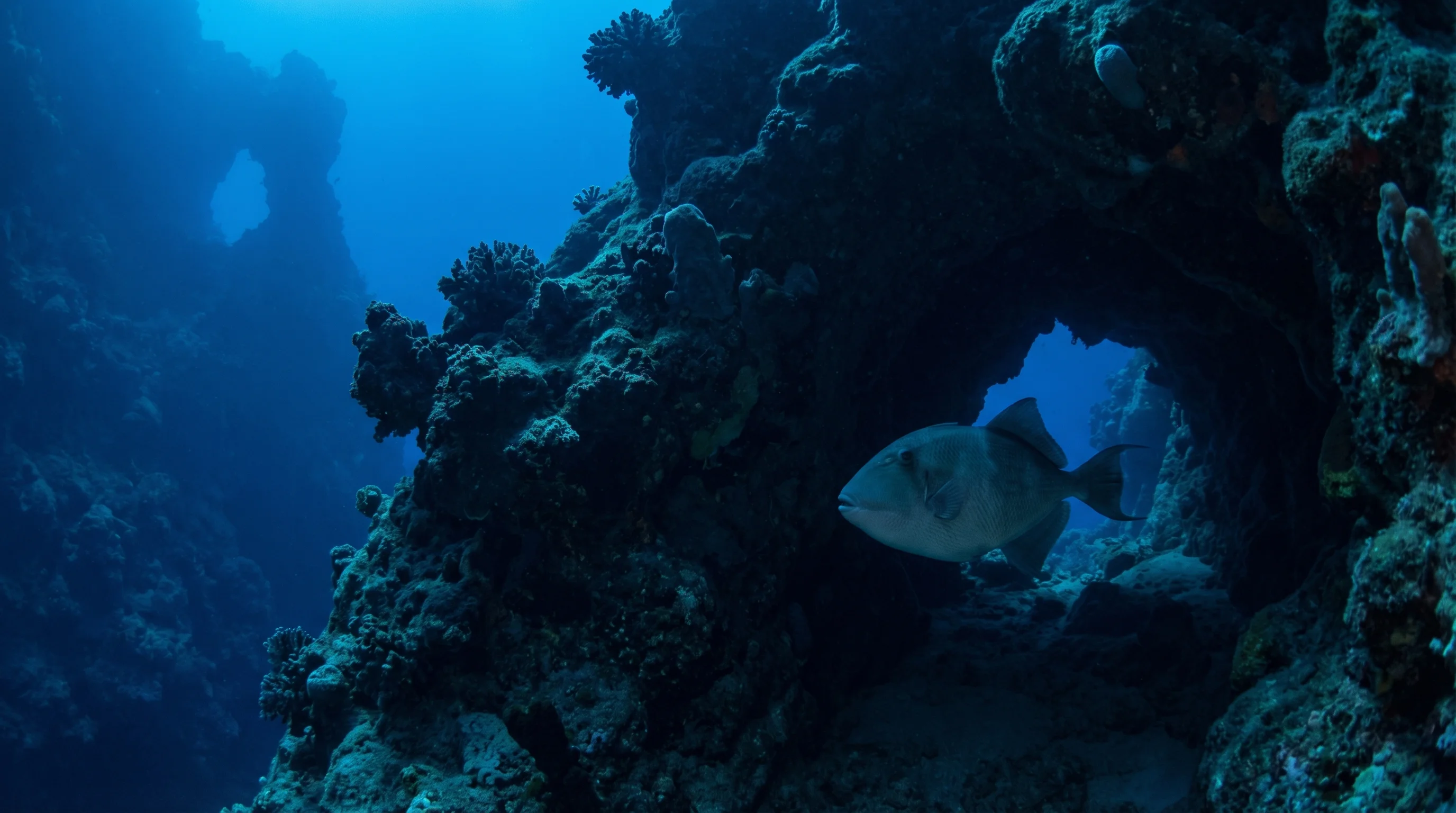 Blue Hole, Dahab