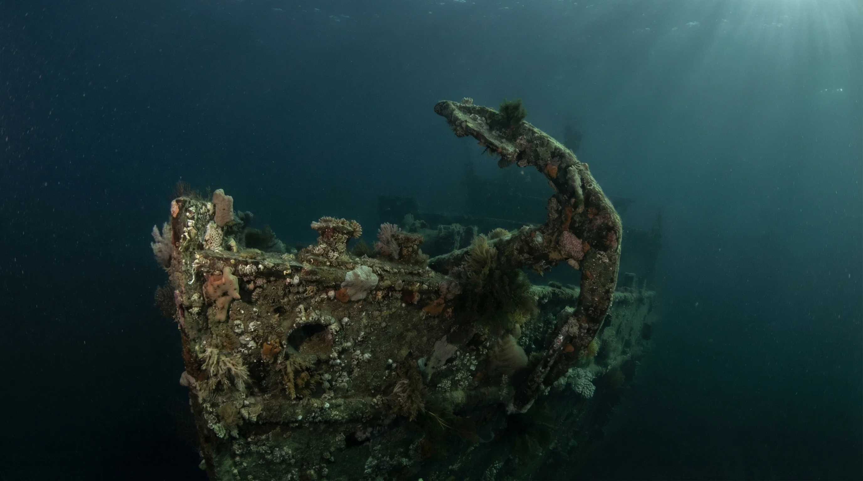 SS Oakland Wreck