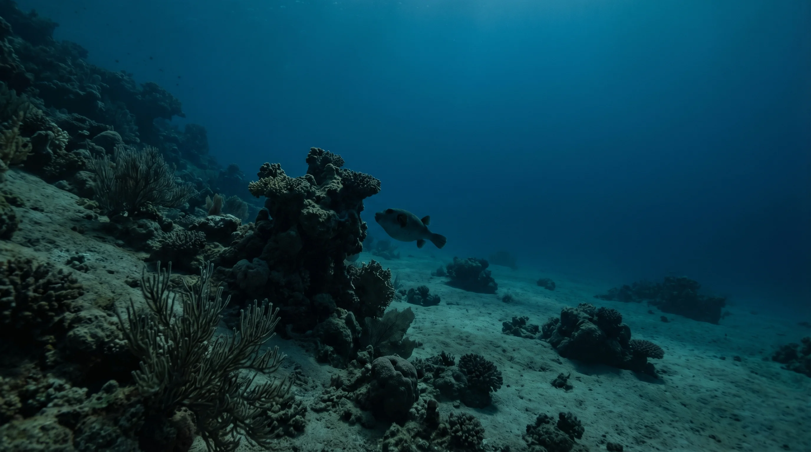 Abu Ramada Island