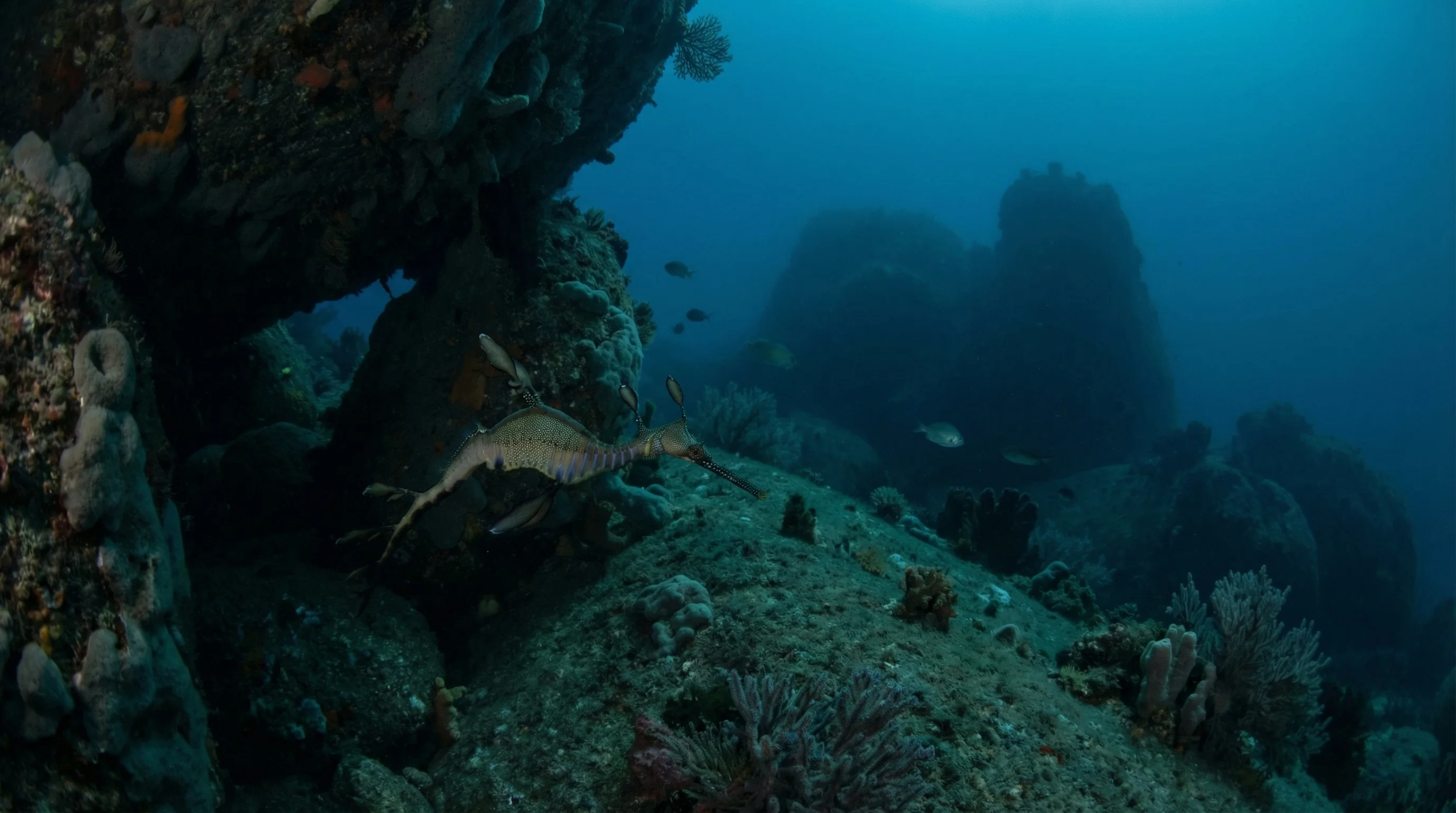 Recherche Archipelago Nature Reserve