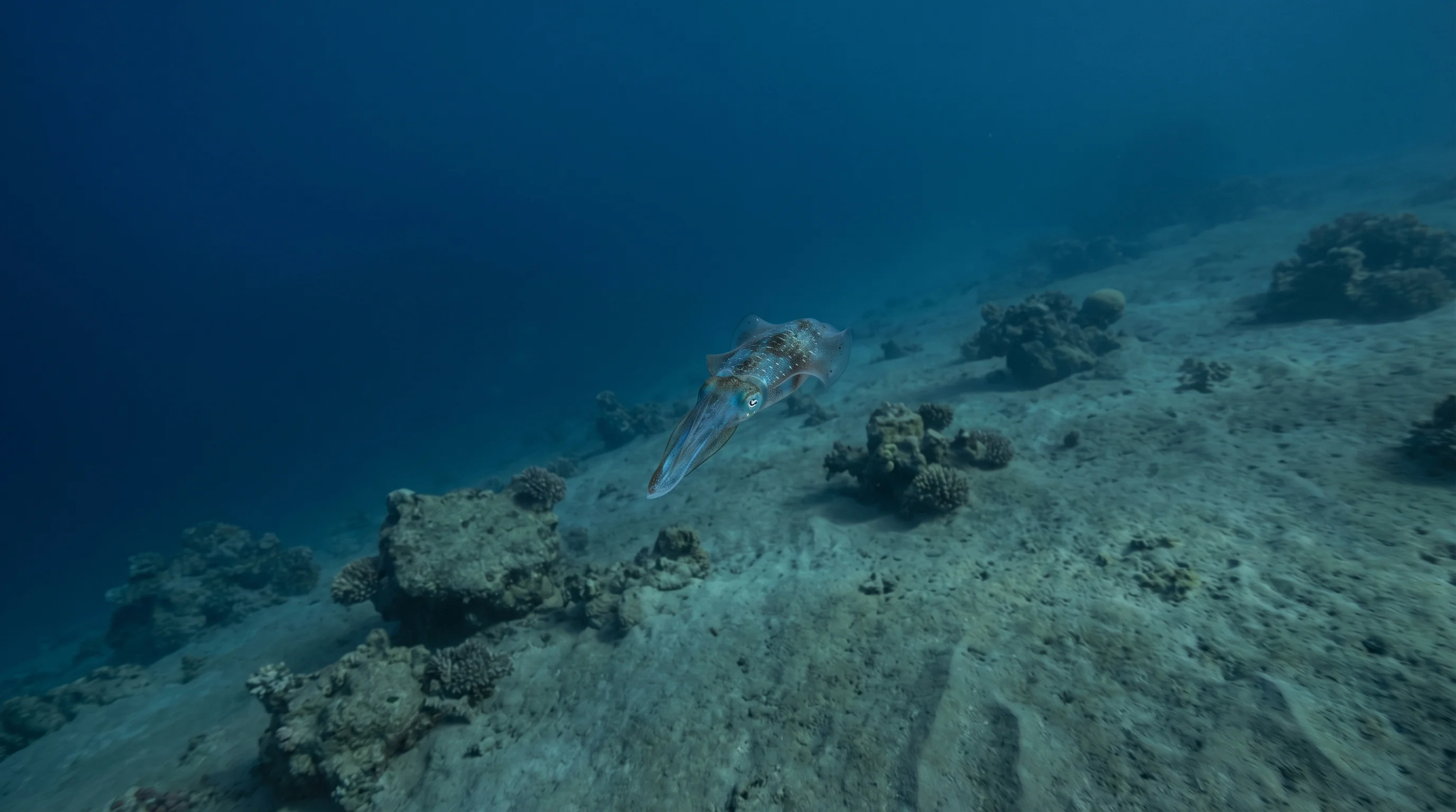 Sataya Reef West