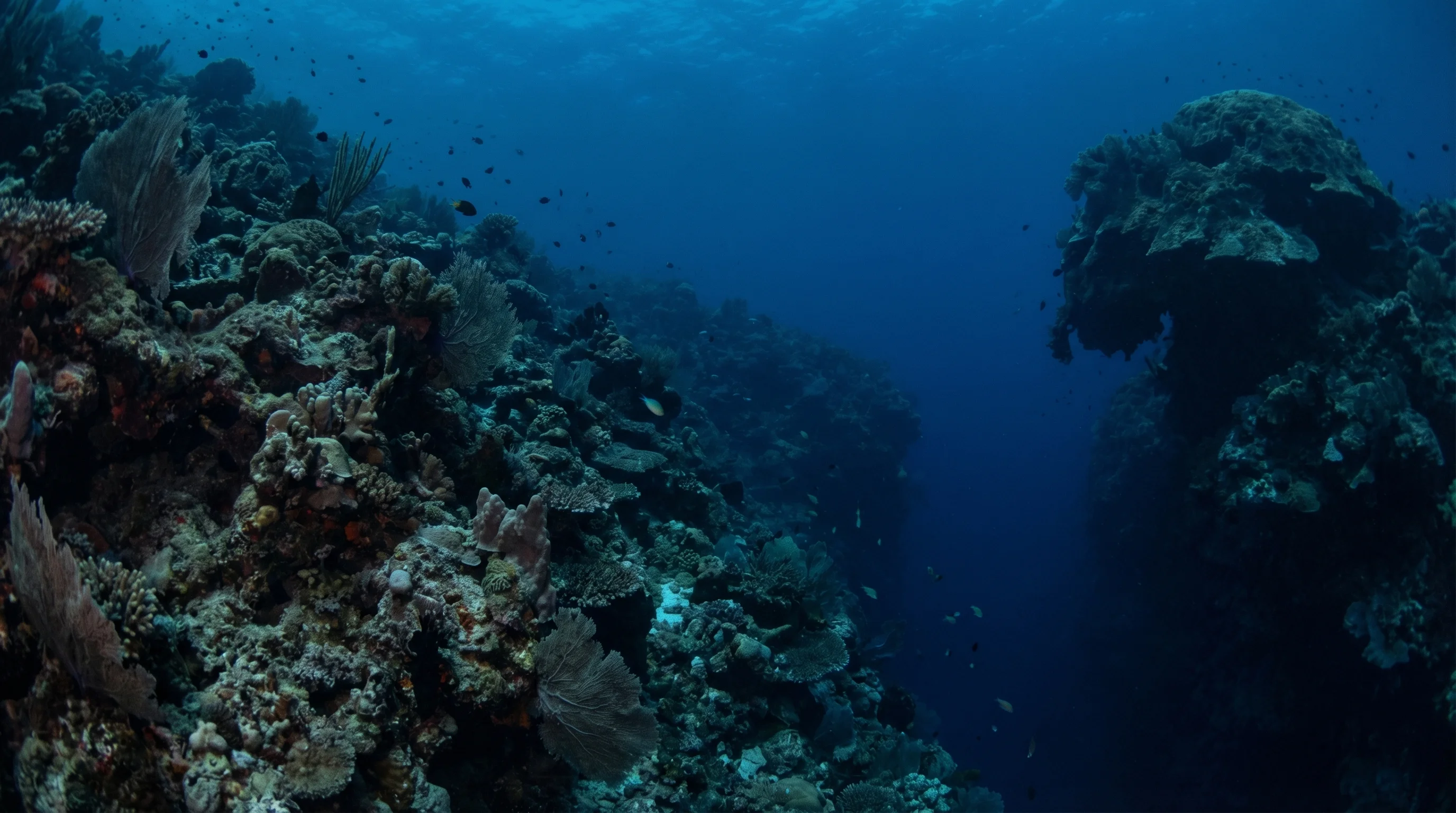 Dive site in Taka Bonerate