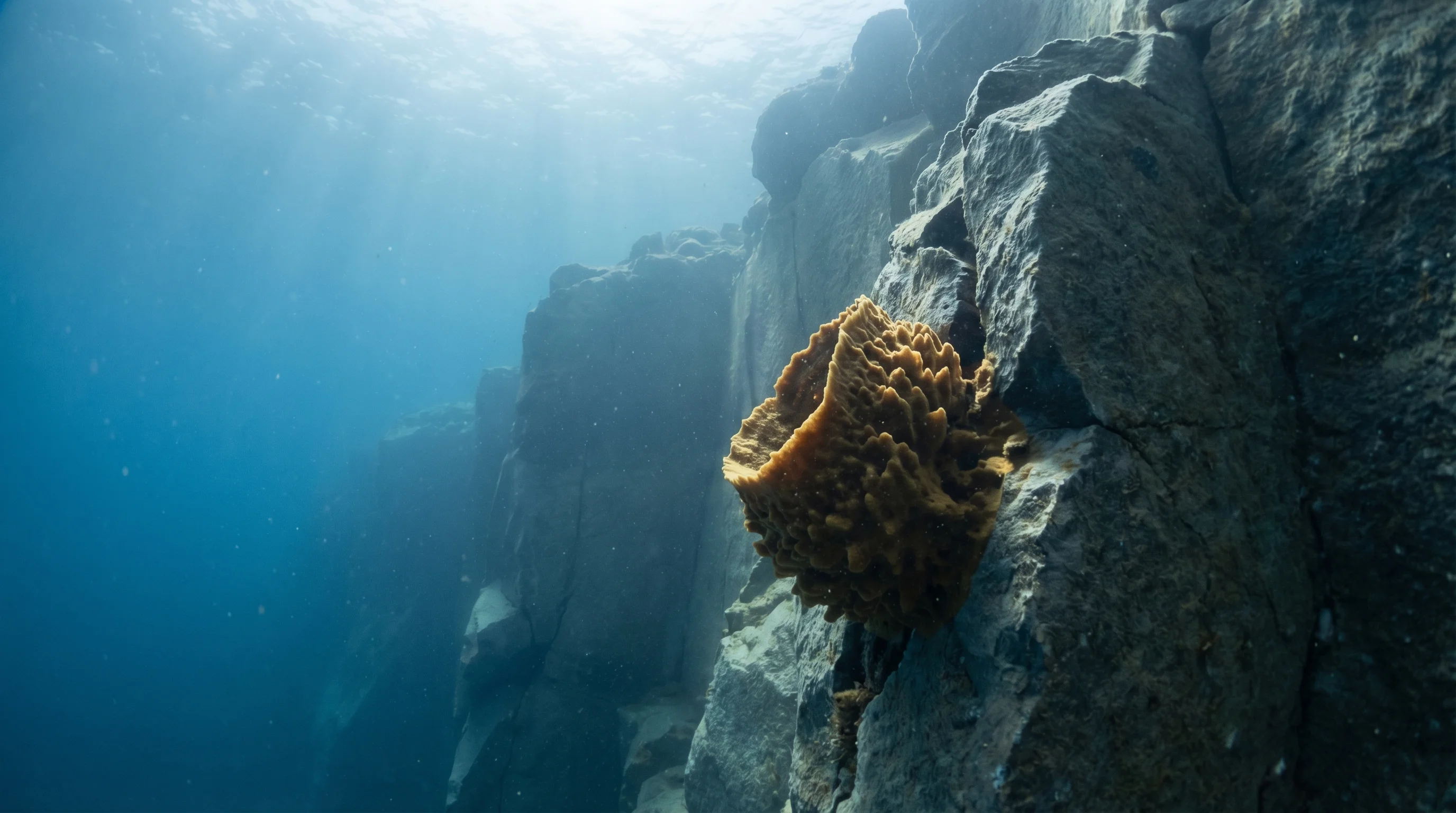 Dive site in Evia