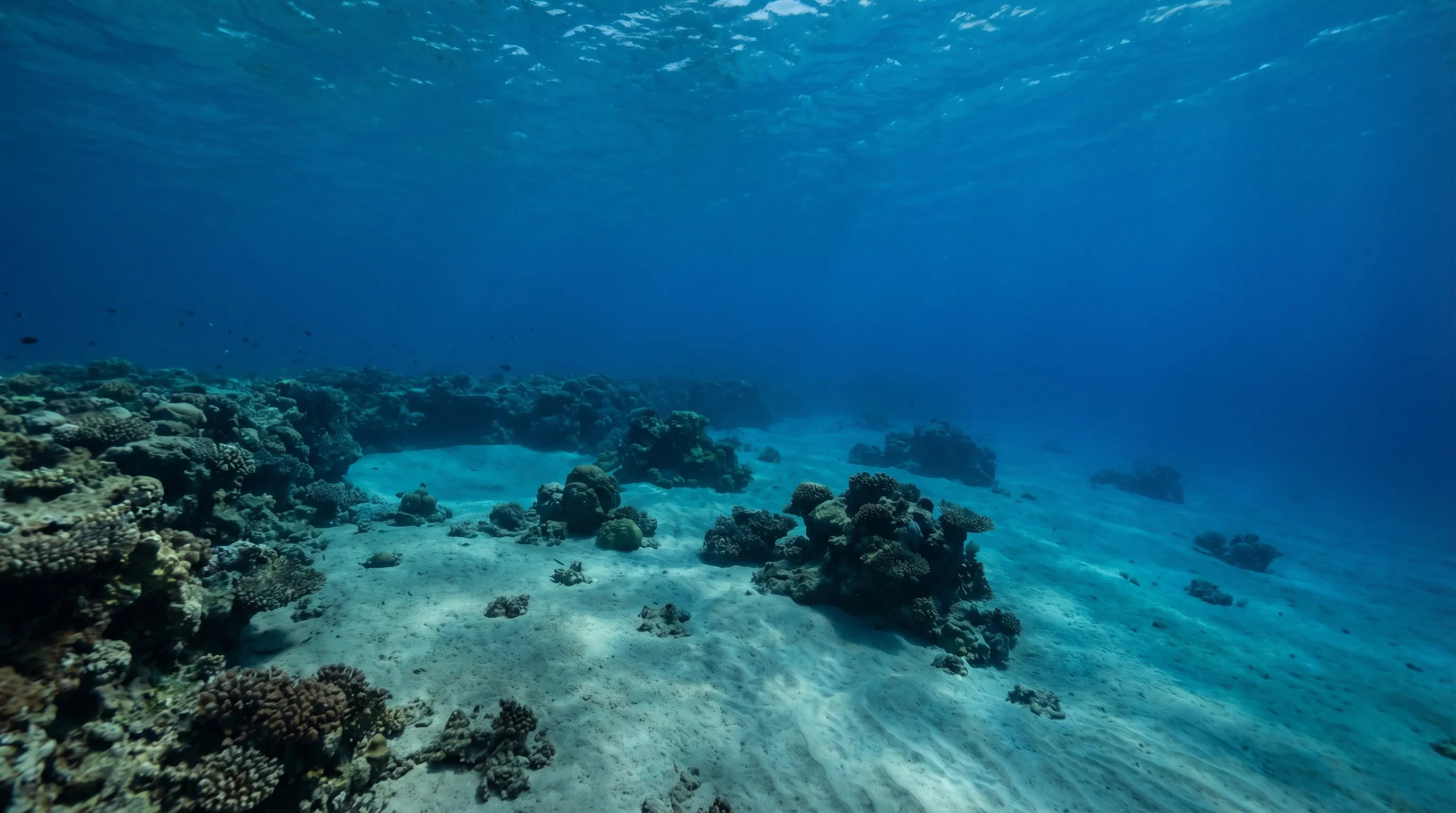 Lahami Bay House Reef