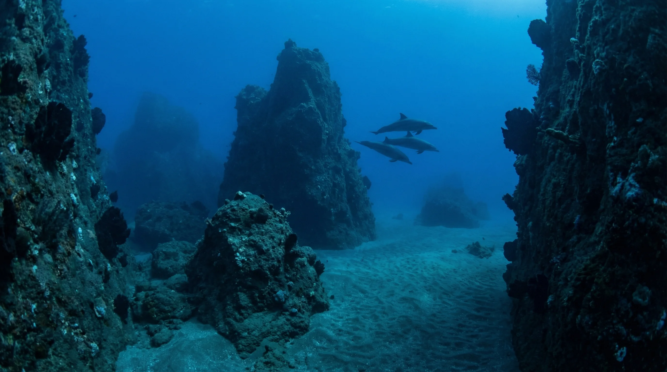 Dive site in New Zealand