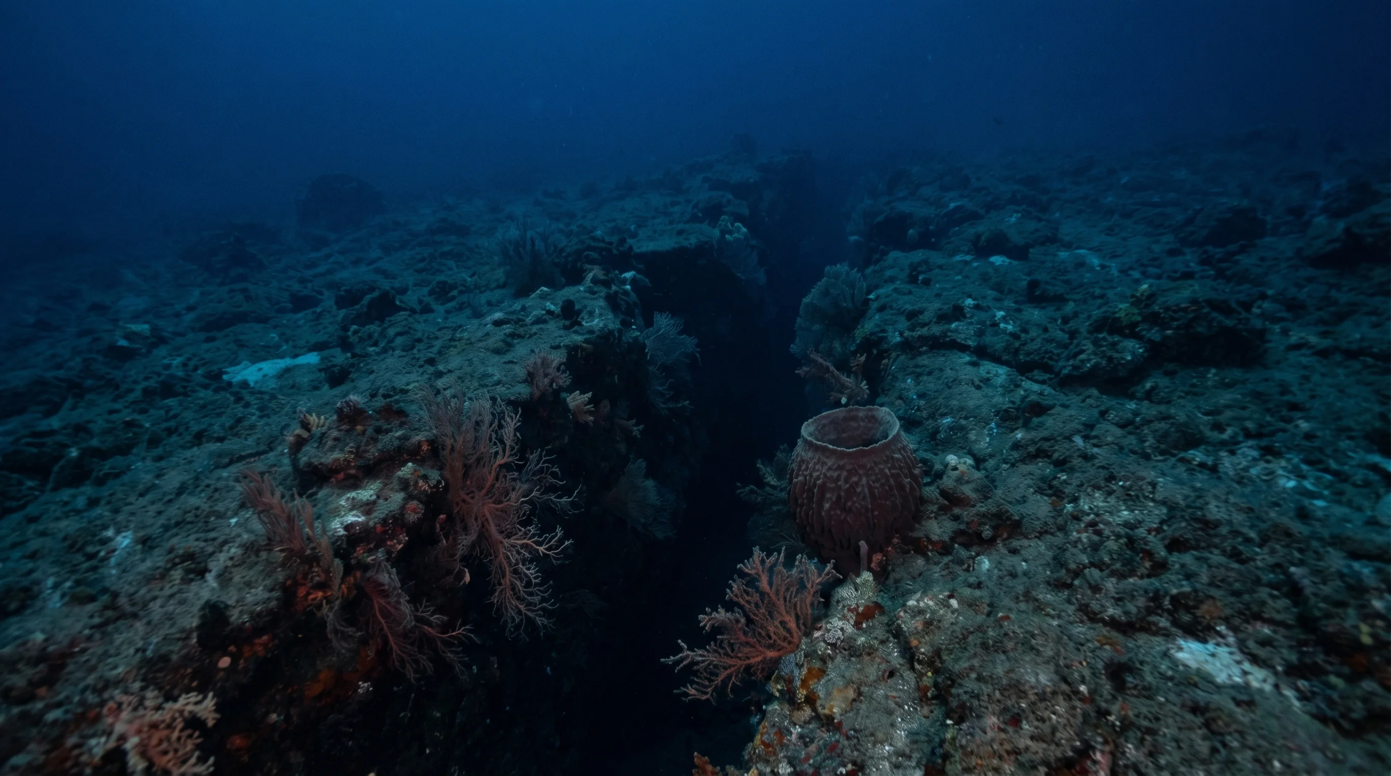 The Volcanic Fault