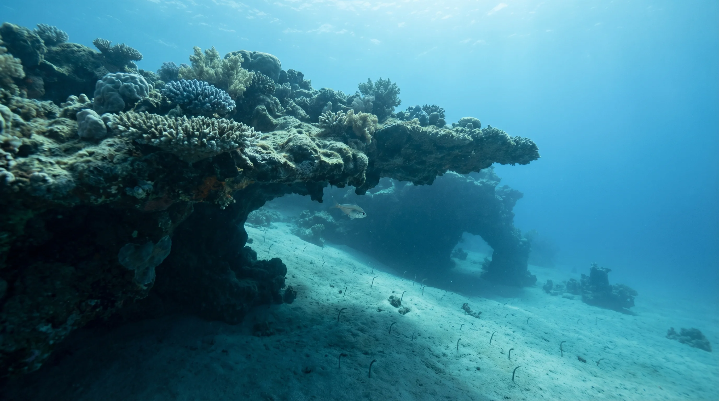 Dive site in Dahab