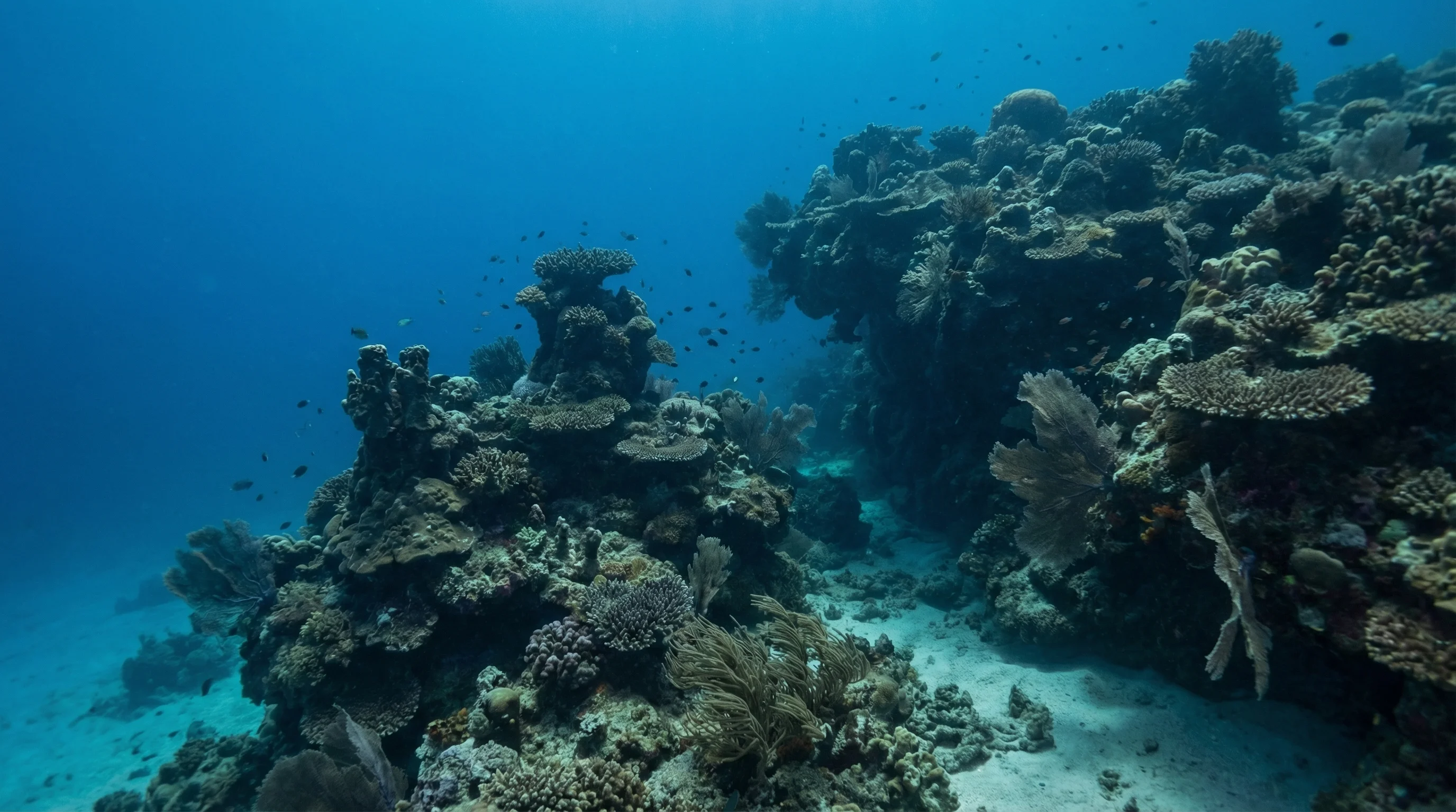 Underwater Way
