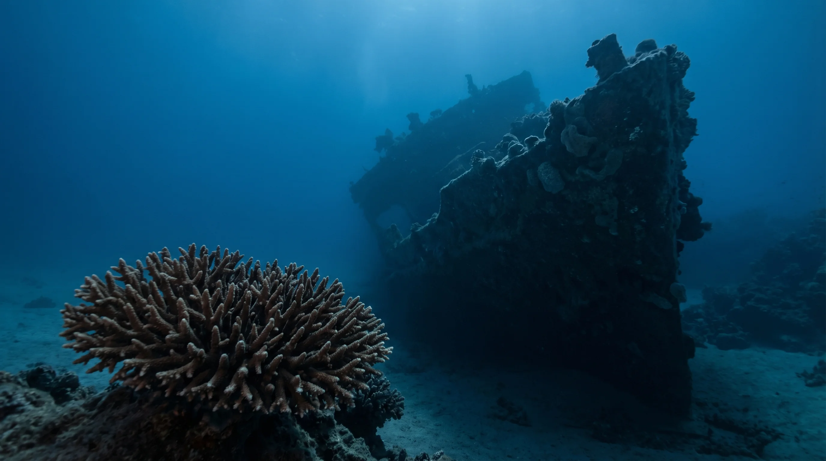 Salem Express, wreck