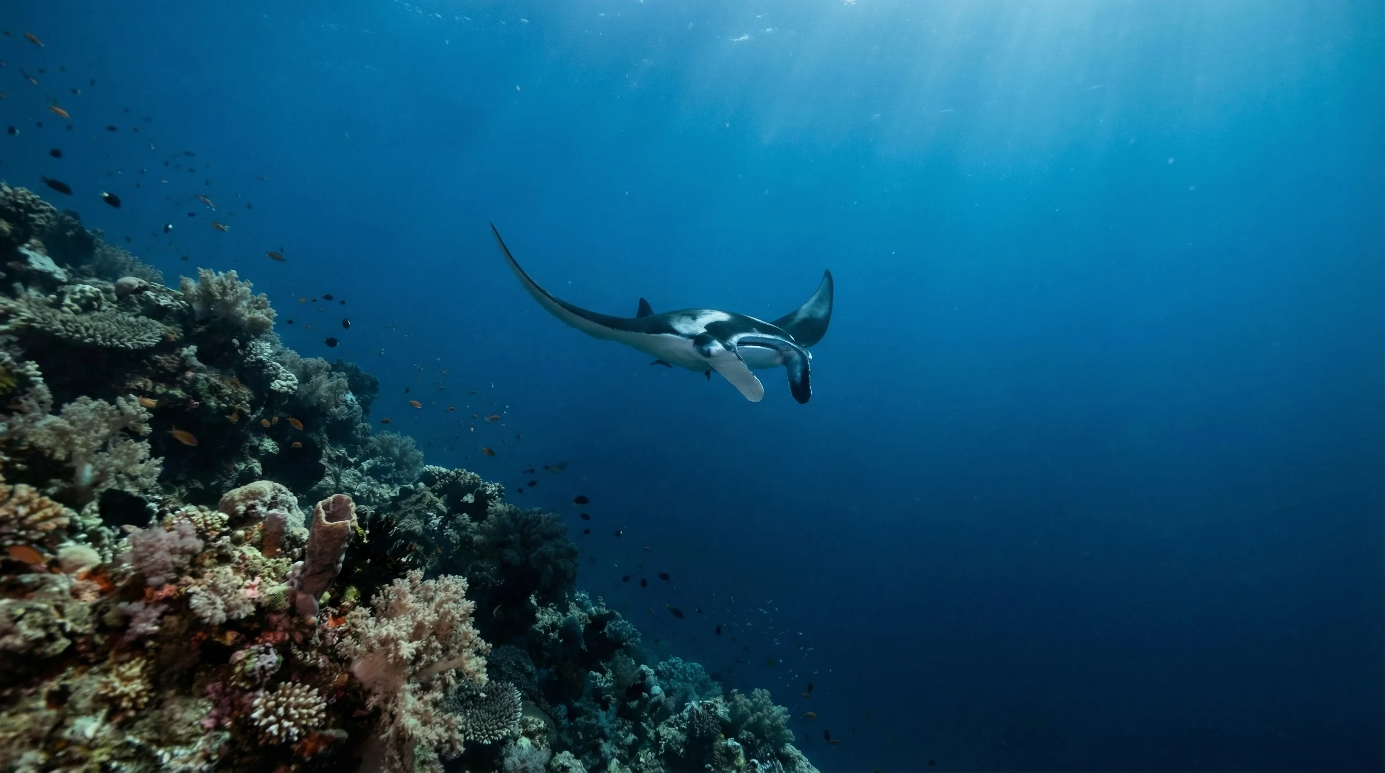 Big Peninsula / Secret Beach