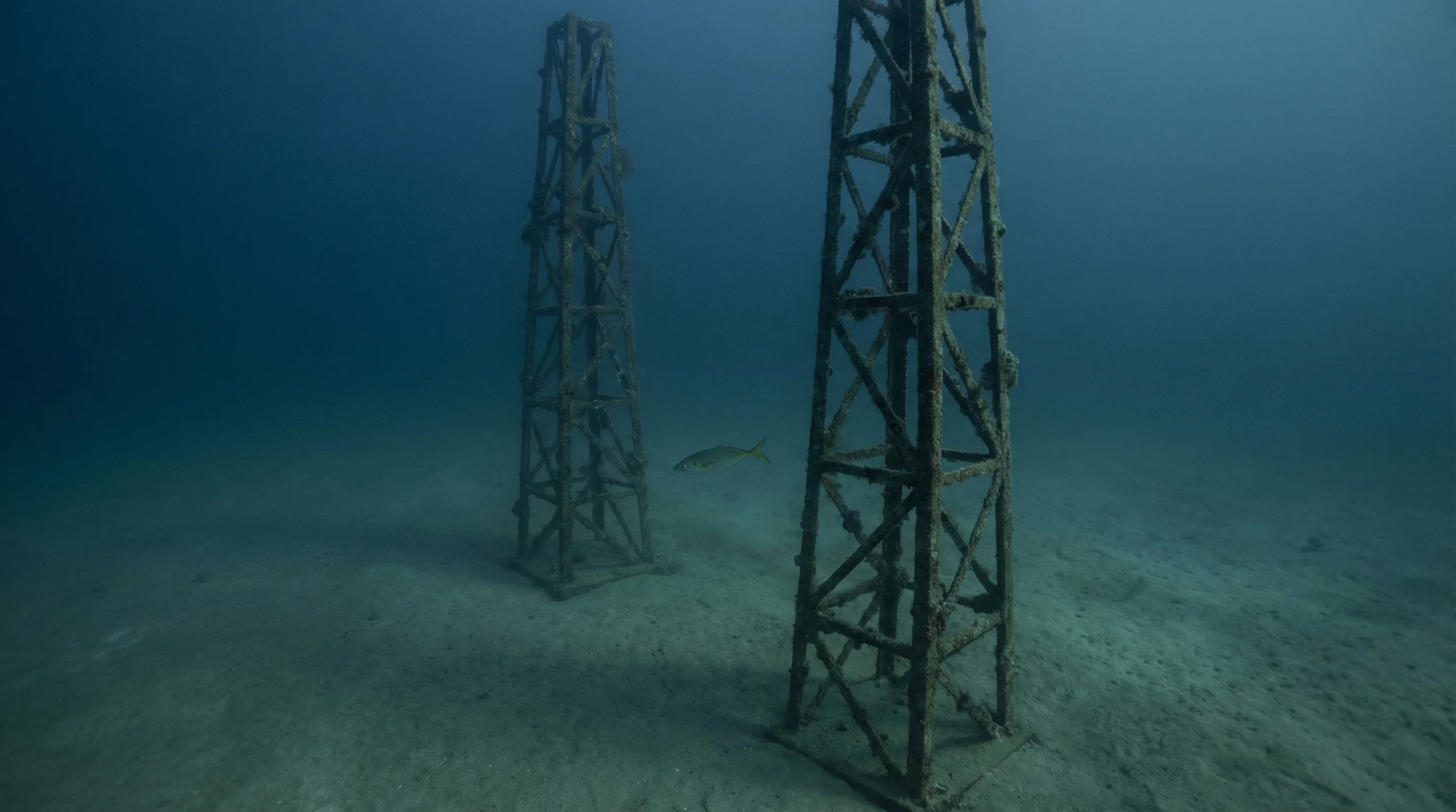 Blacksmiths Artificial Reef