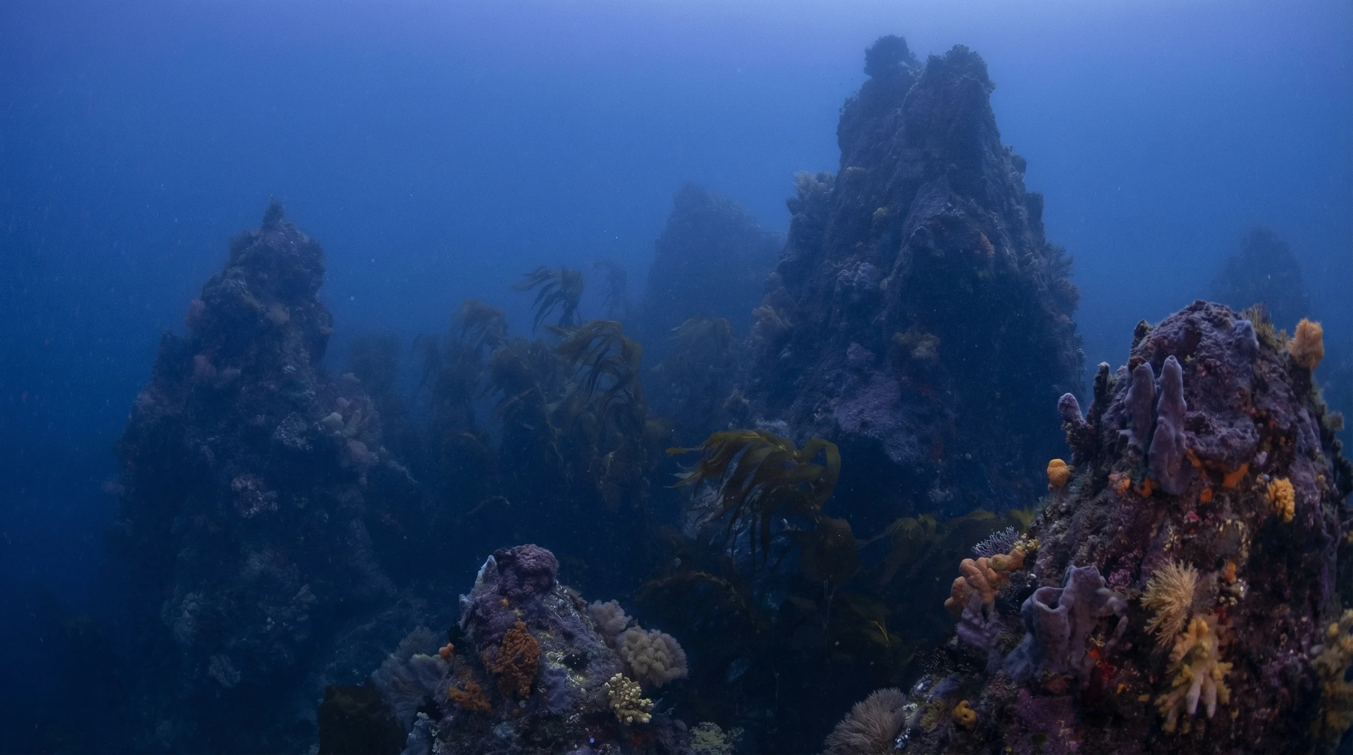 Dive site in Wellington