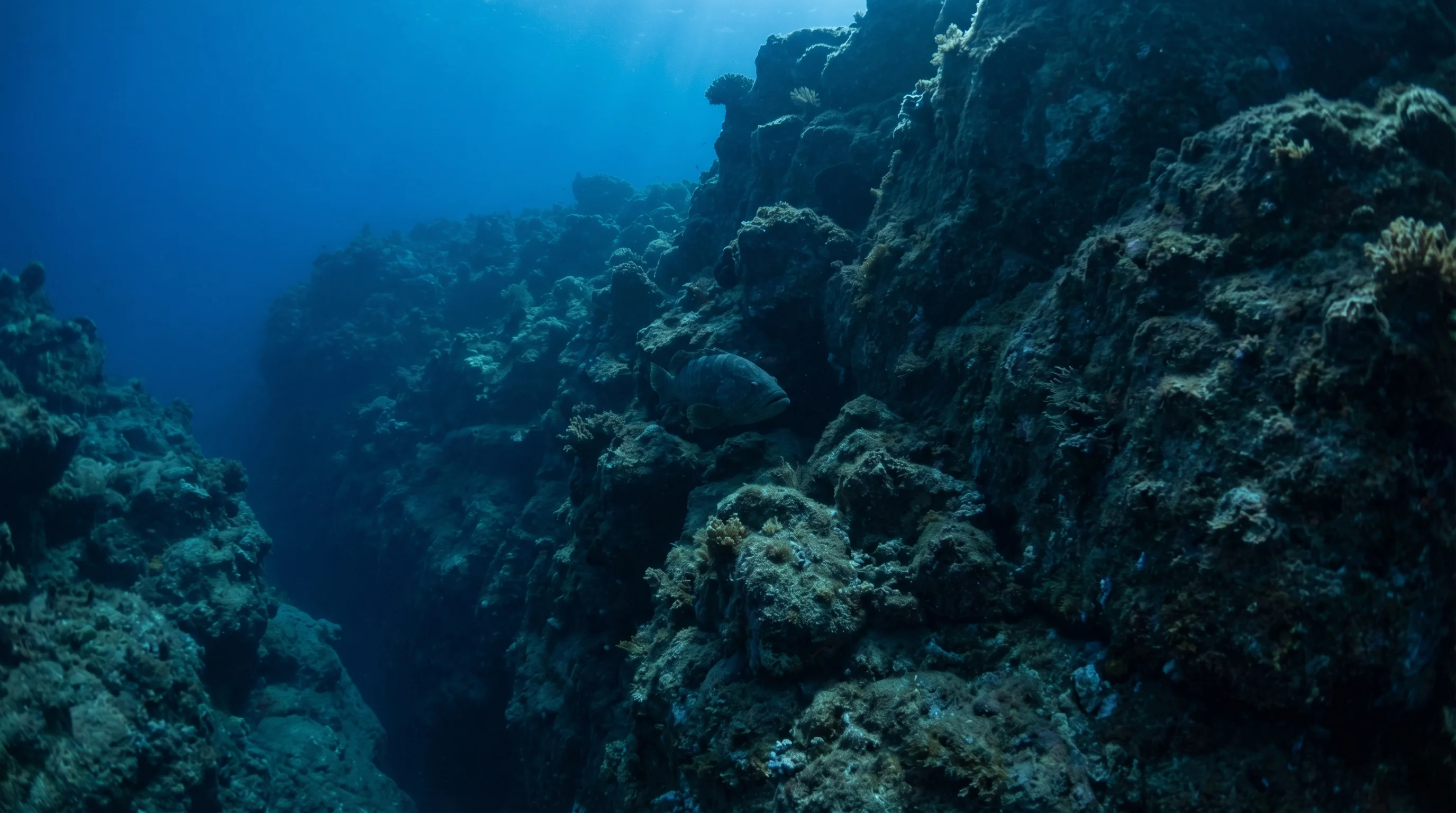 Dive site in Sporades