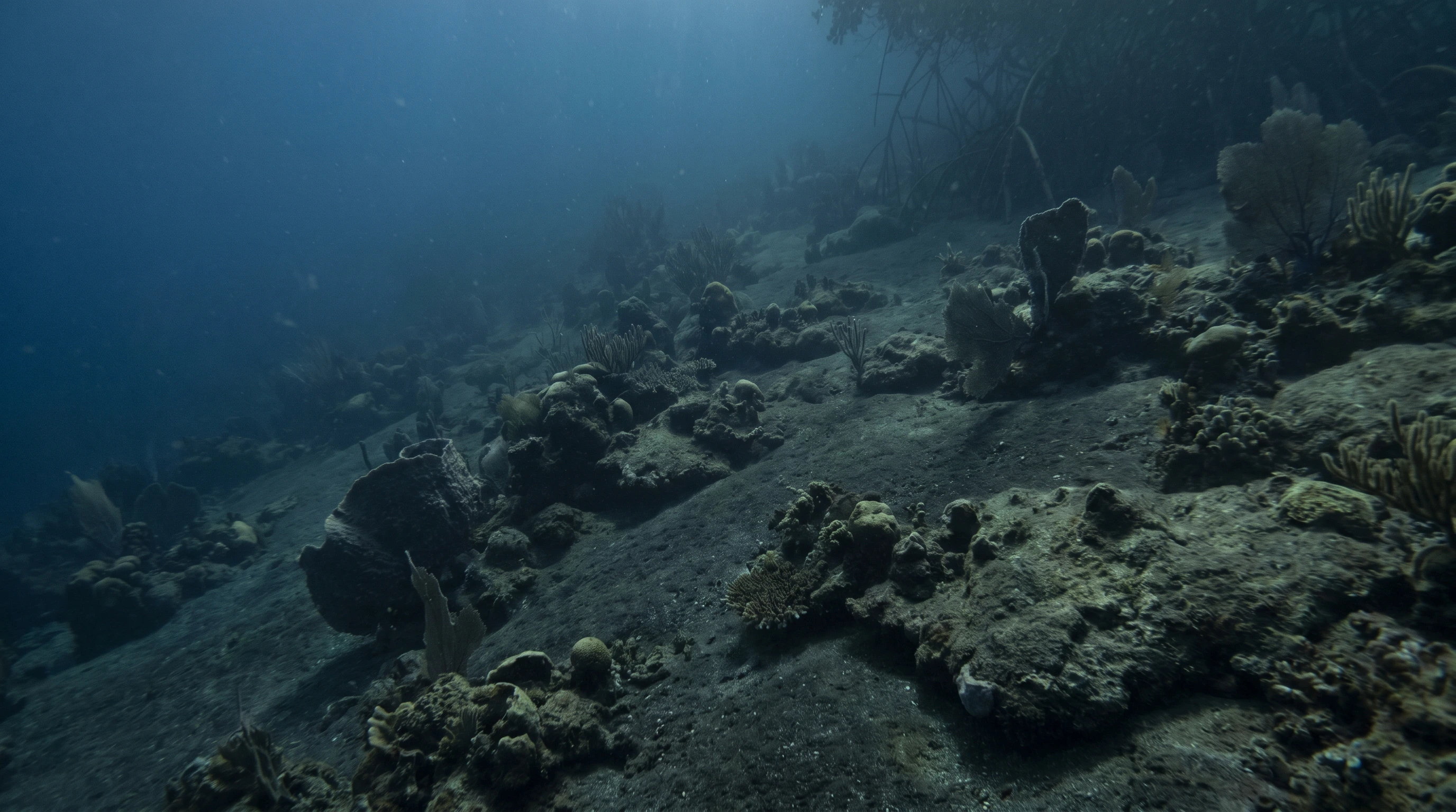 Dive site in Venezuela