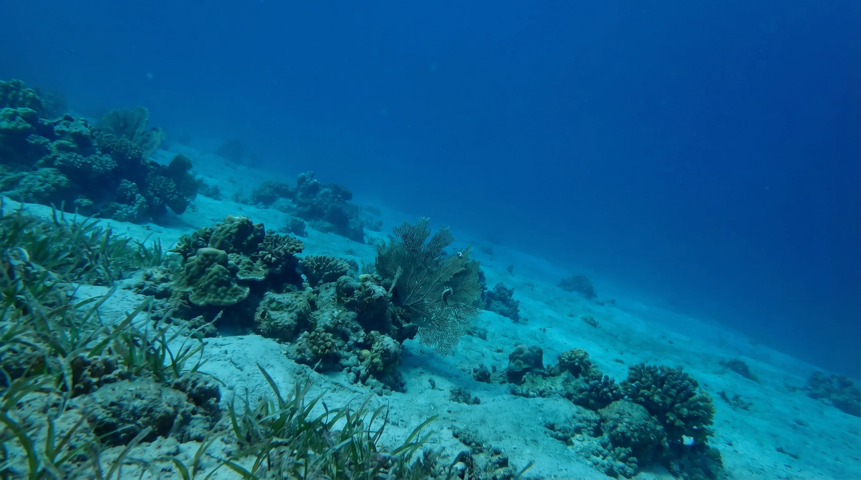 Dive site in Manado Tua
