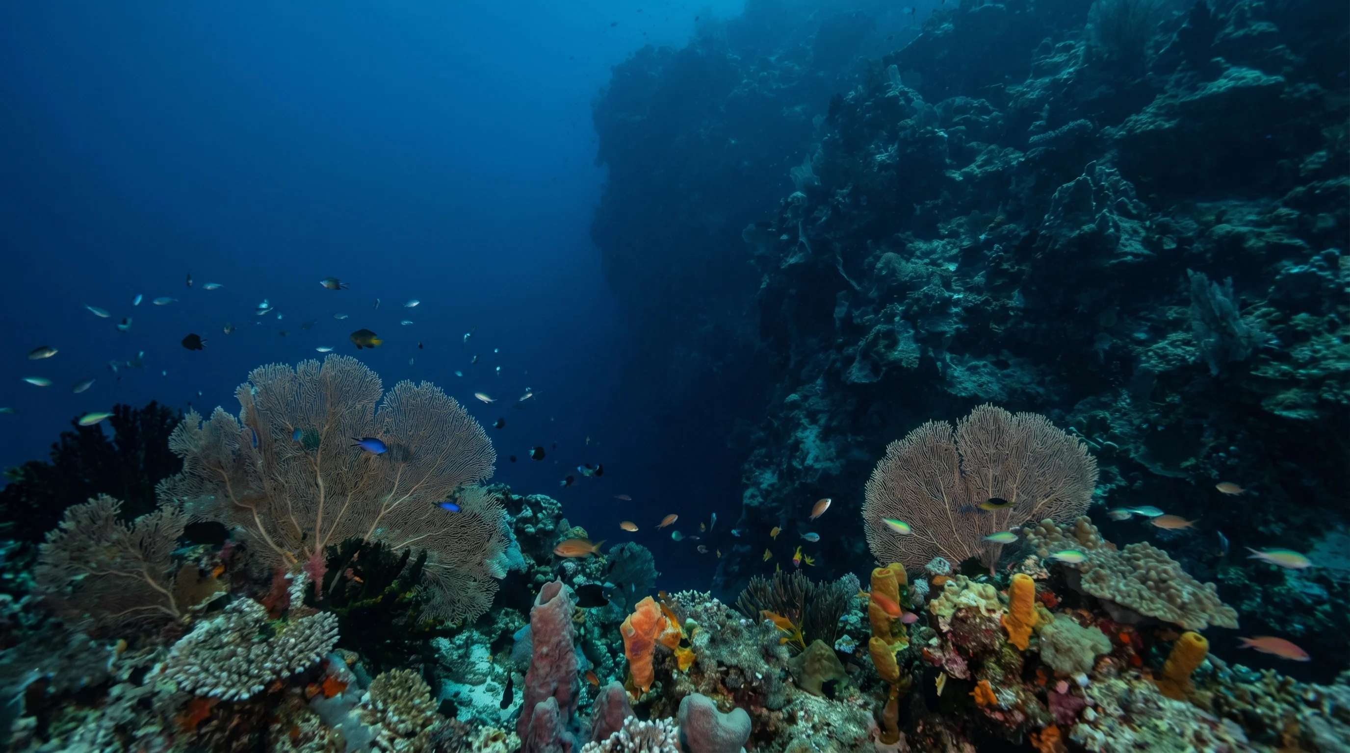 Dive site in Indonesia