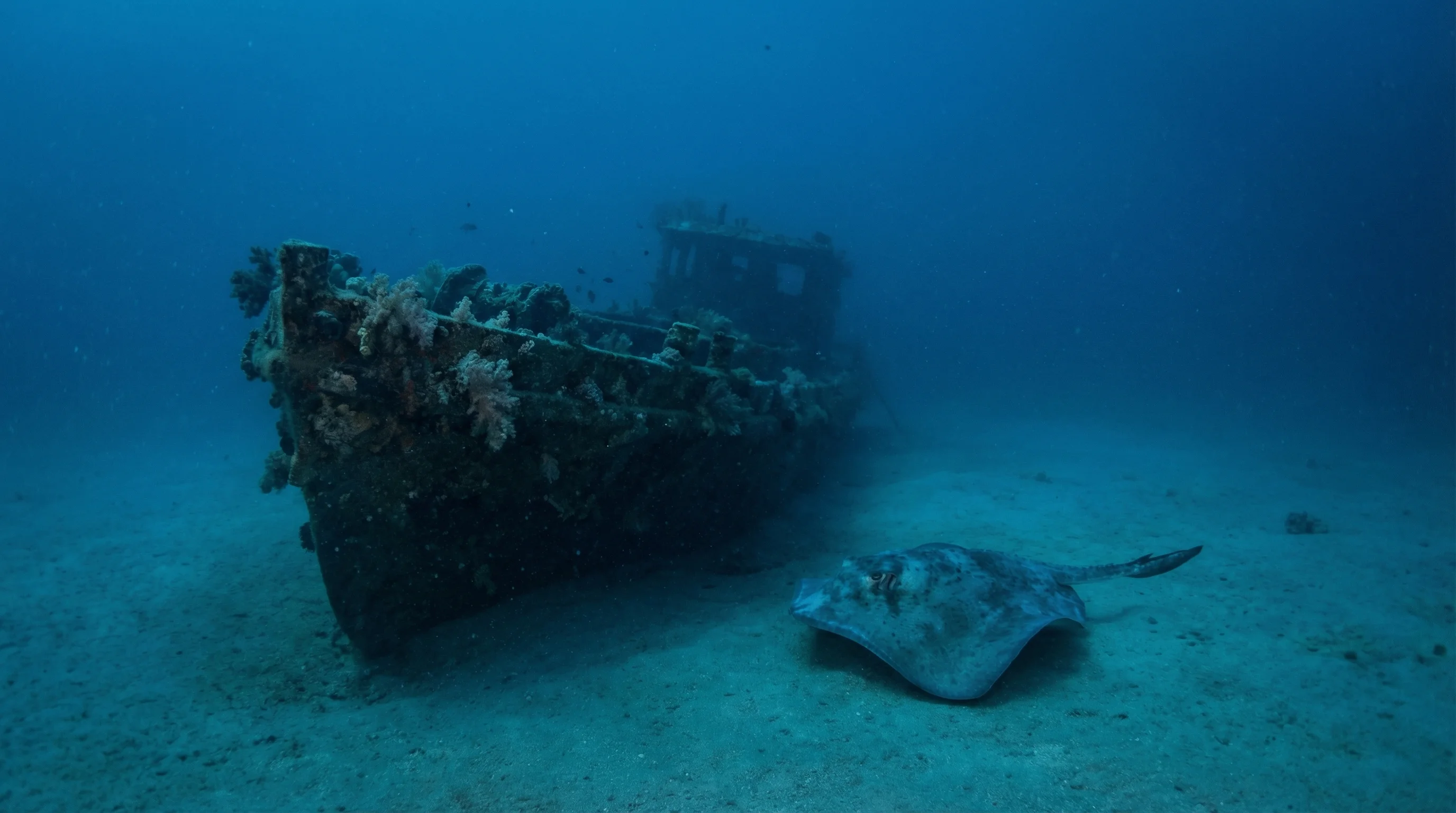 Dive site in Chumphon Pinnacle