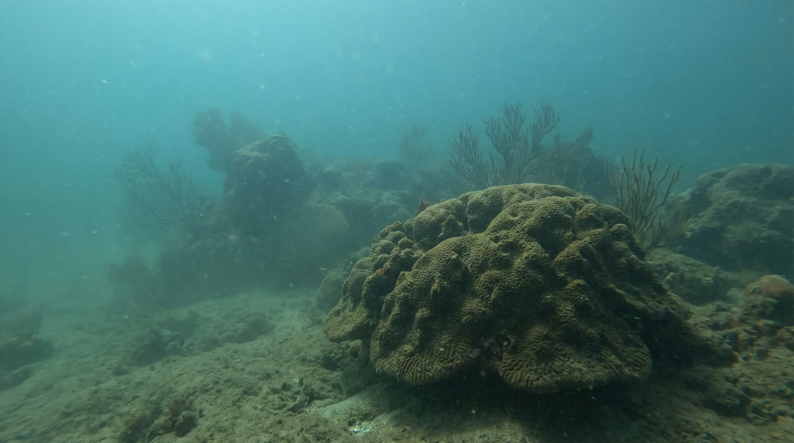 Chumphon Pinnacle