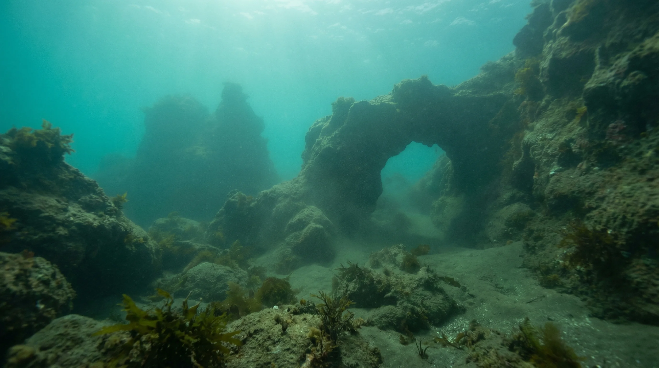 Cooks Cove