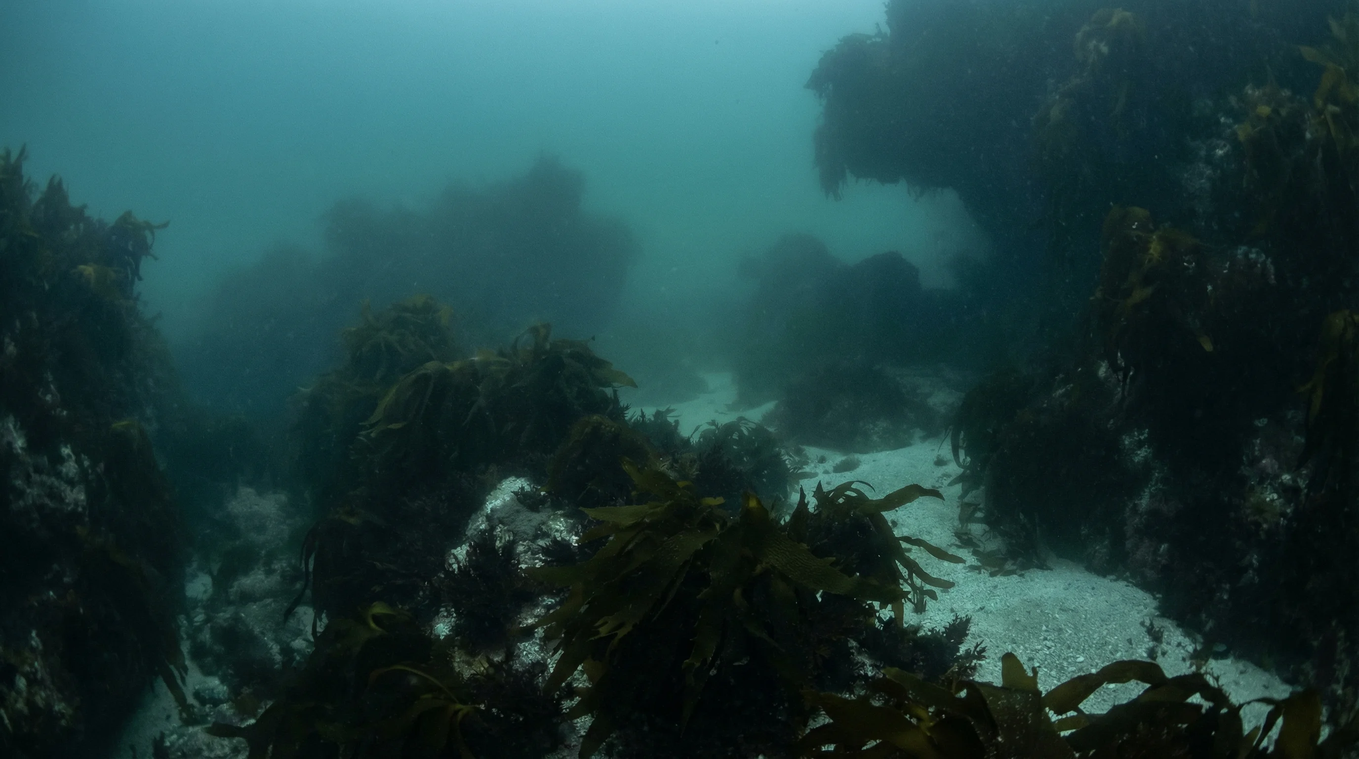 Coralie Bay