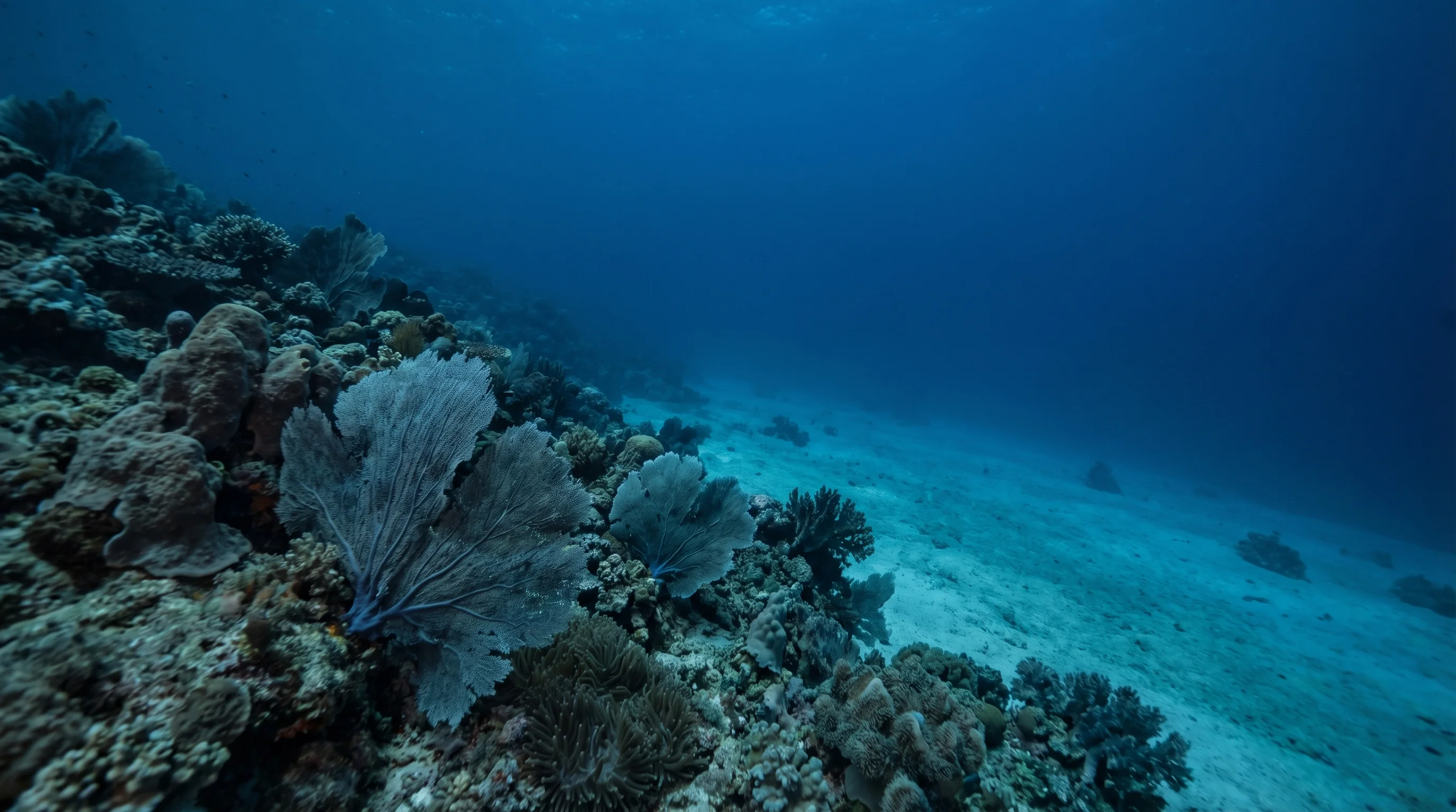 Dive site in Bali