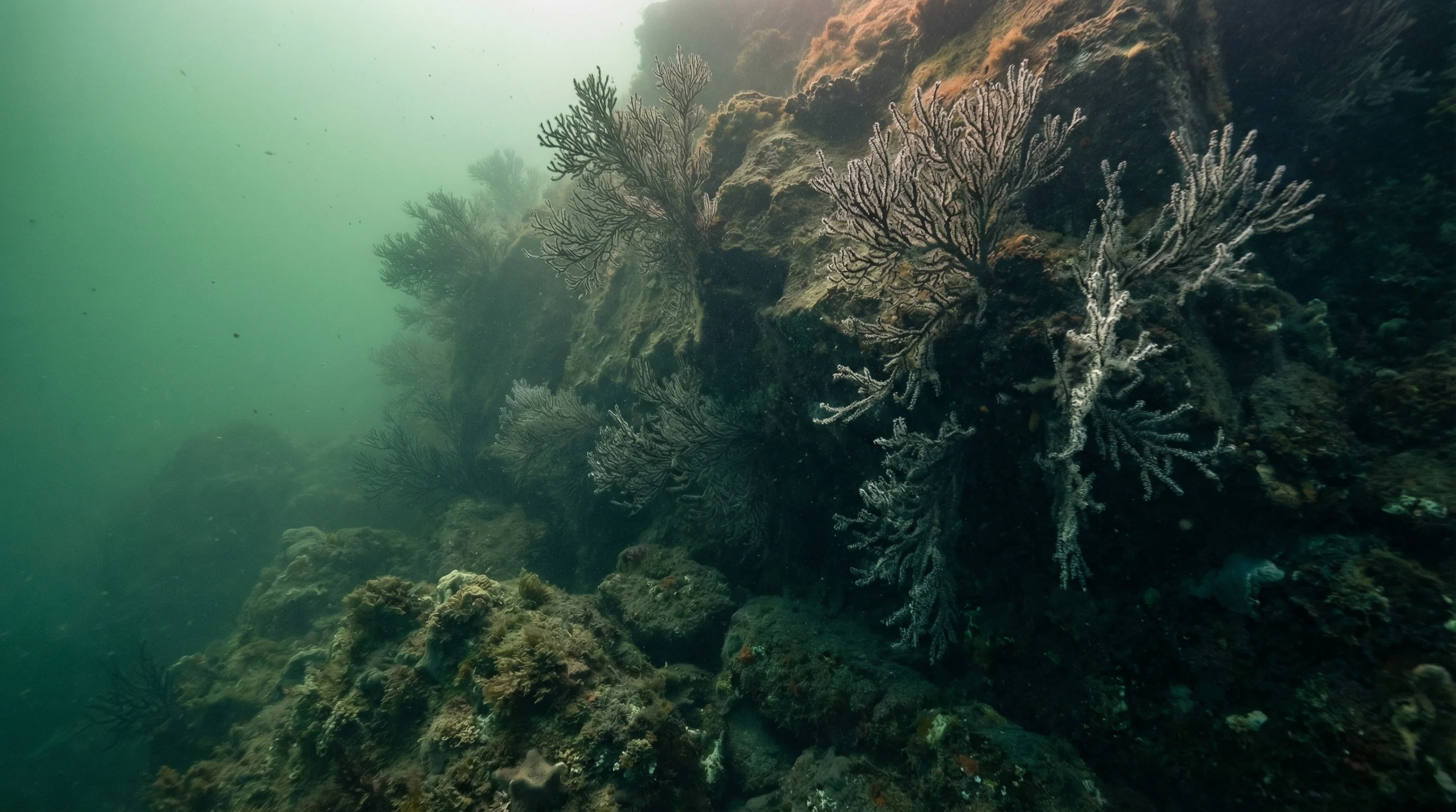 Deepwater Basin