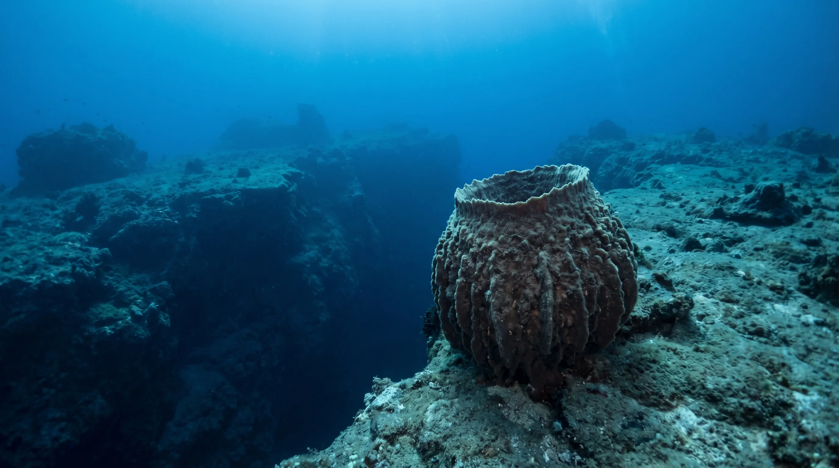 Dive site in Kos