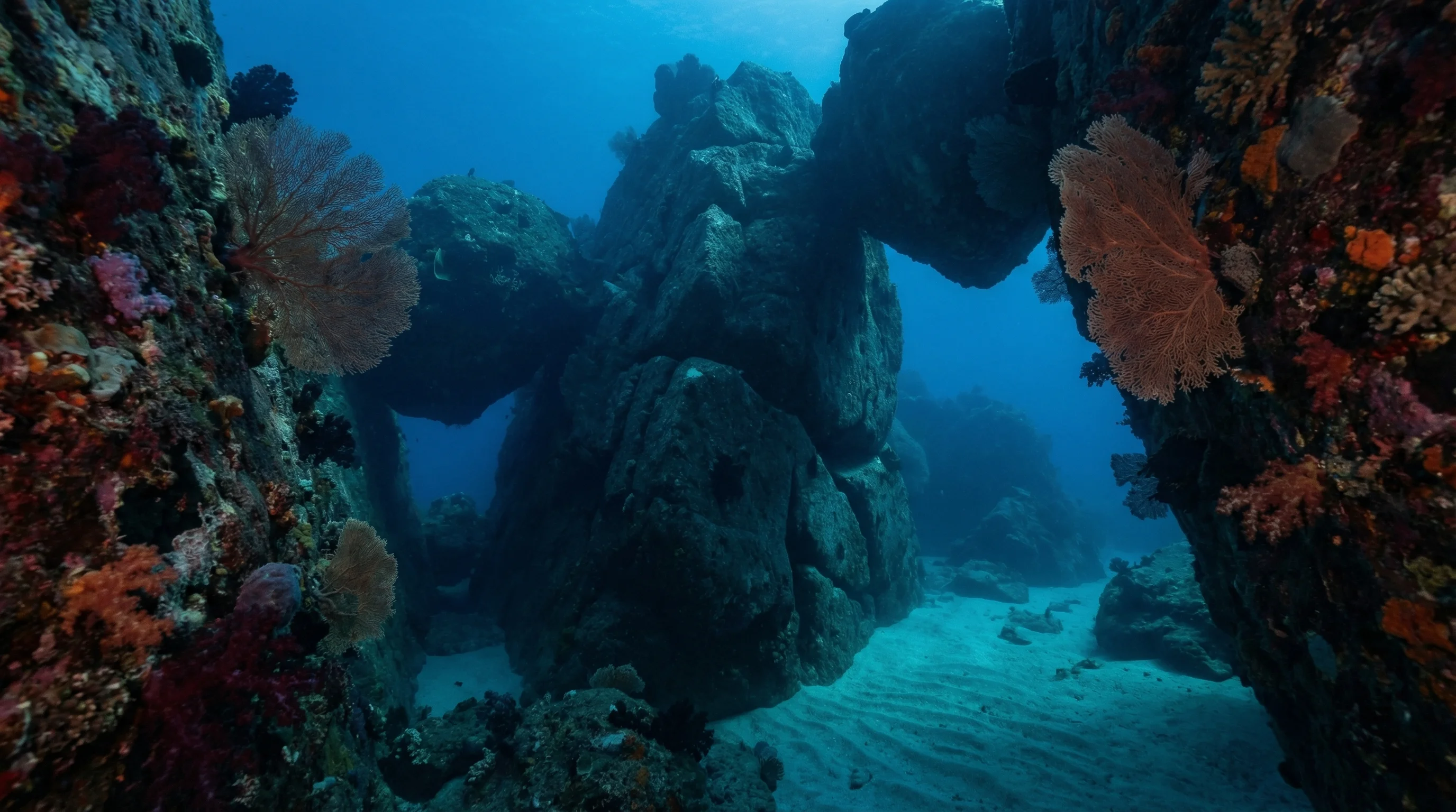 Elephant Head Rock