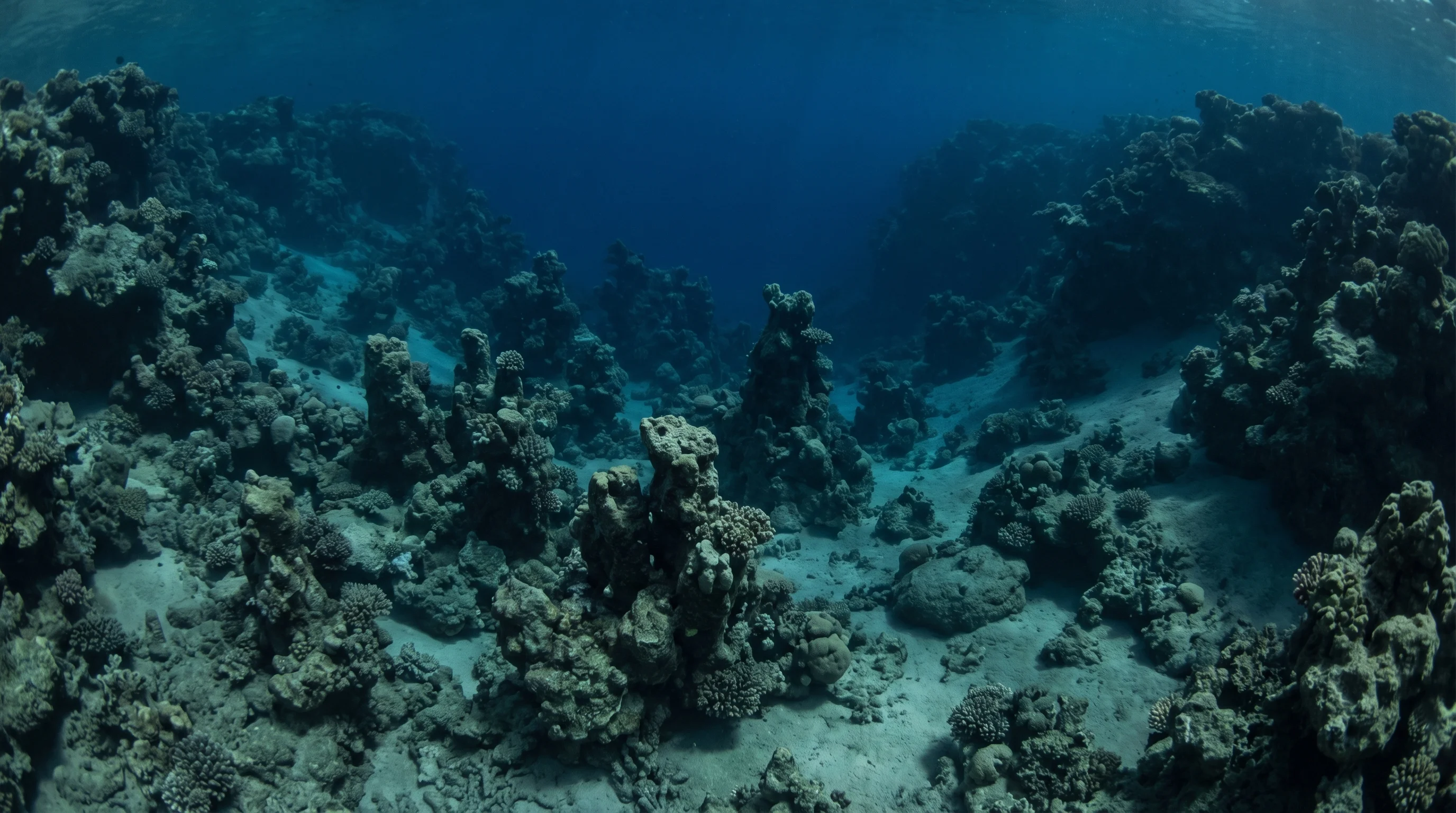 Dive site in Hamata & St John's