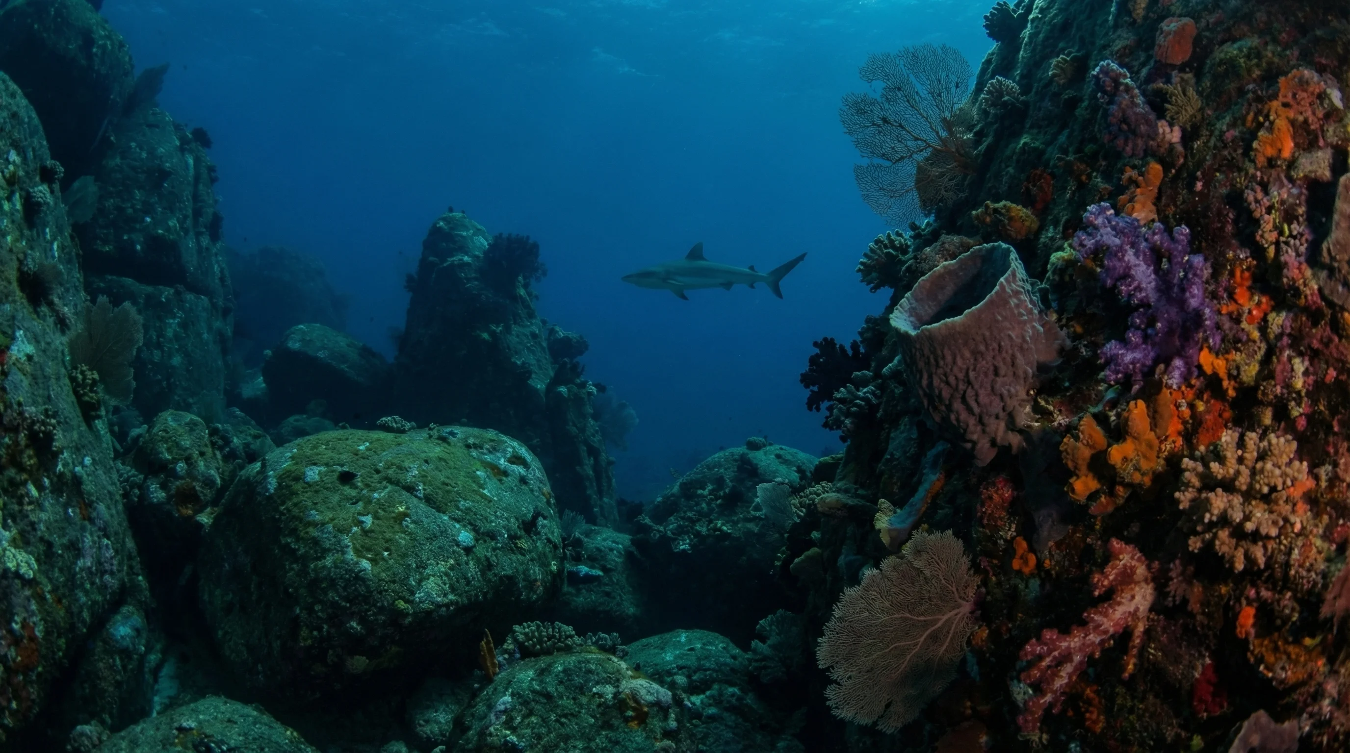 Dive site in Khao Lak
