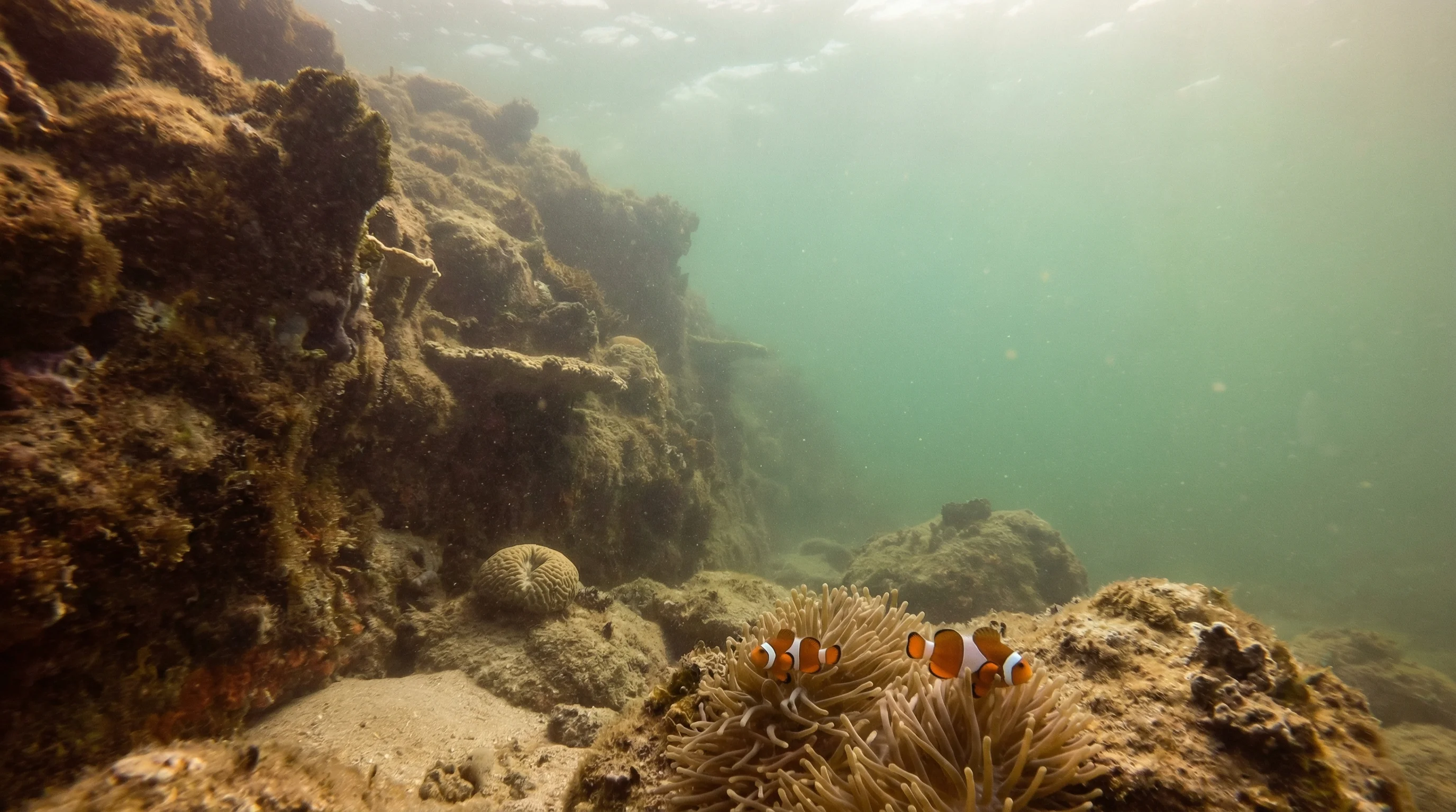 Mooloolaba Rock Wall