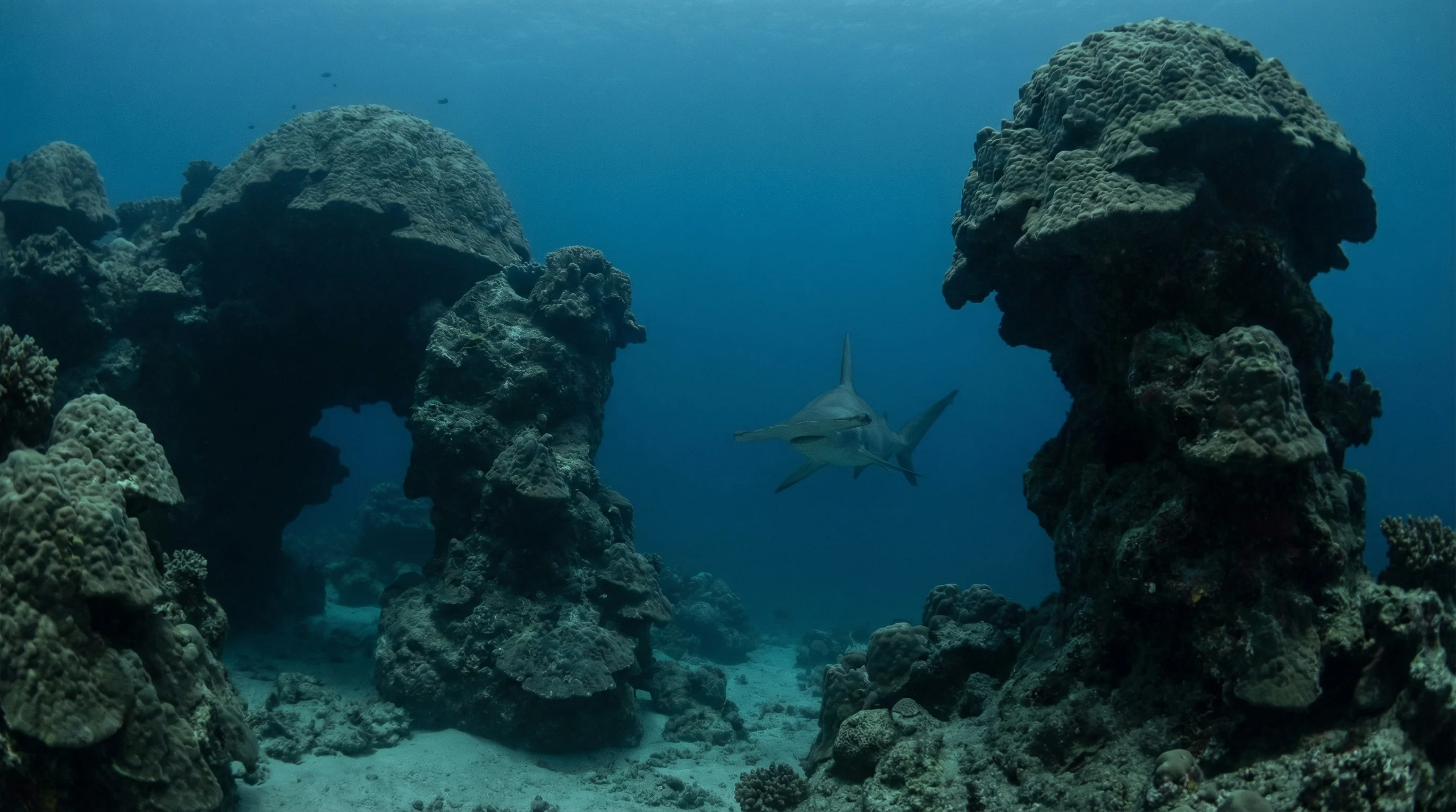 Dungeons And Dragons