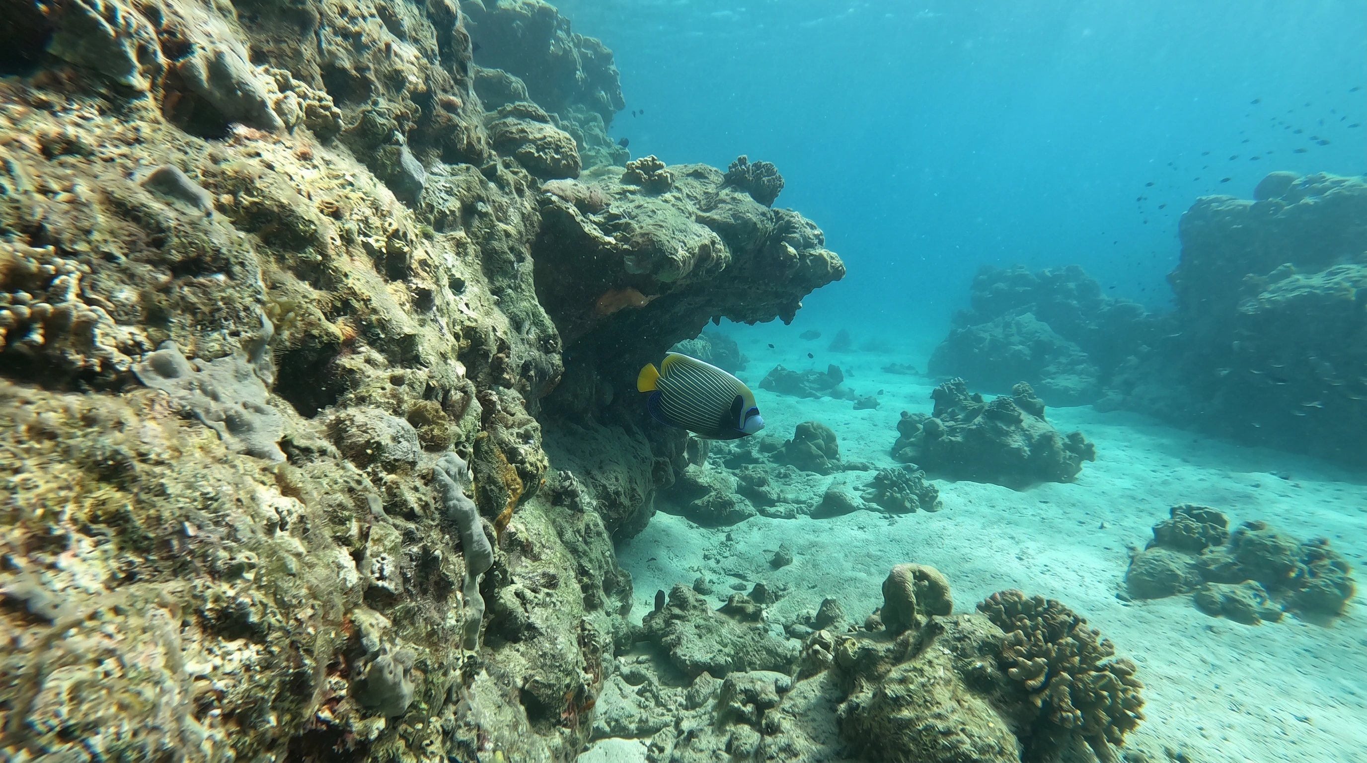 Dive site in Oman
