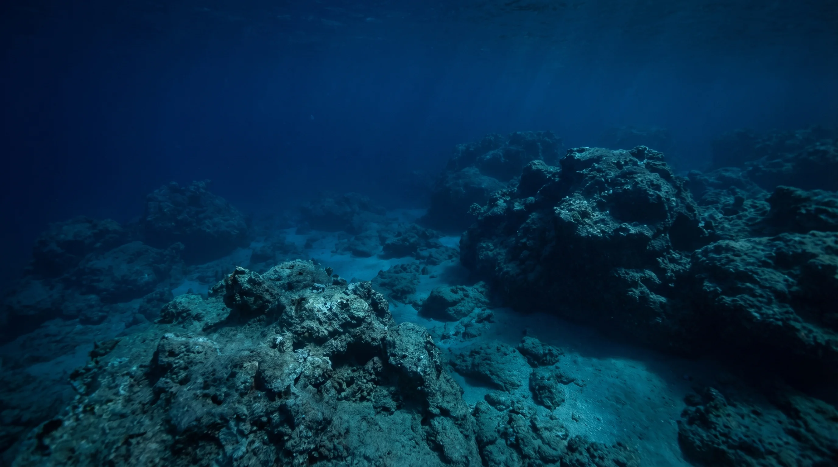 Grouper Rock
