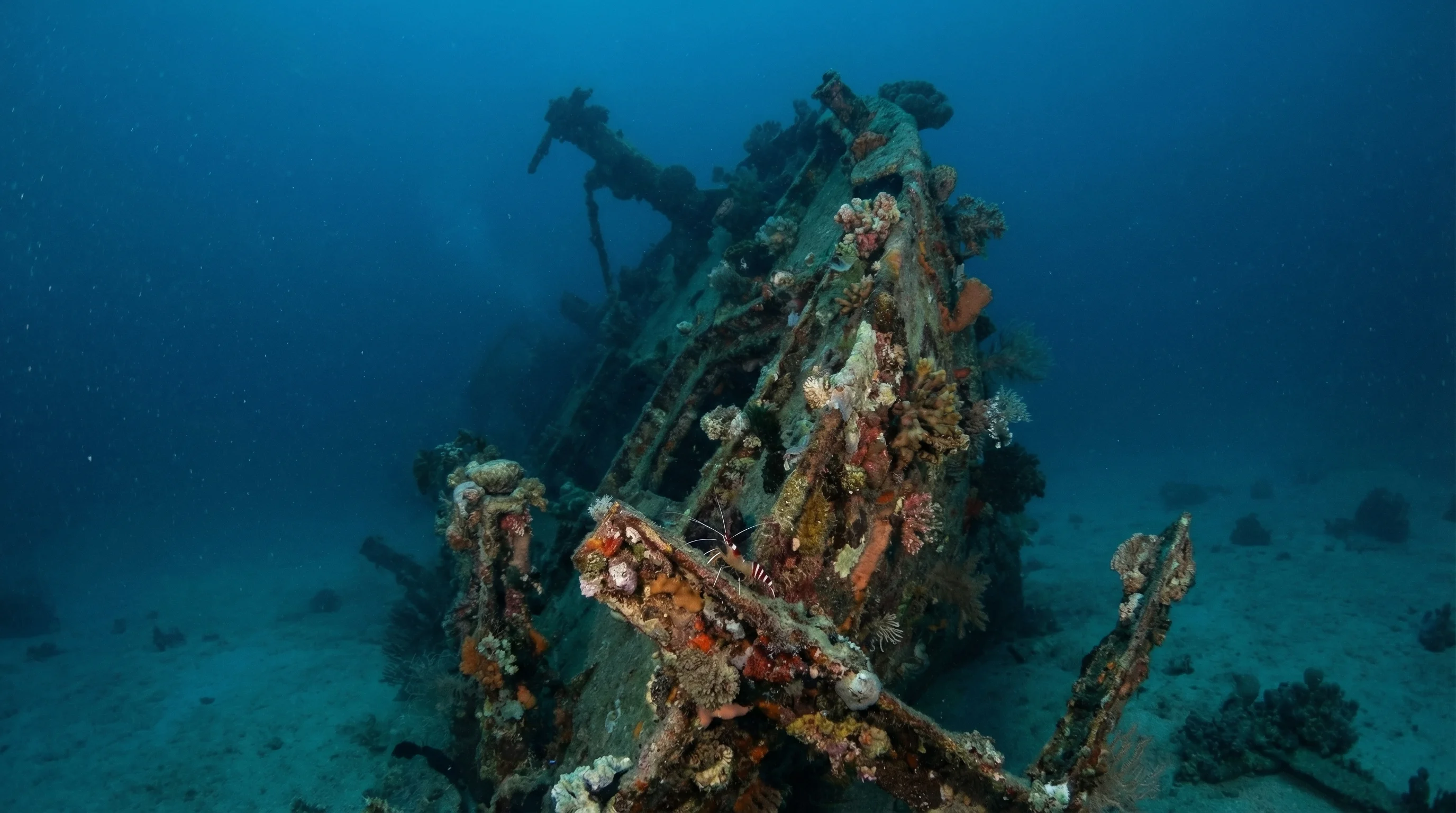 HTMS Kut Shipwreck