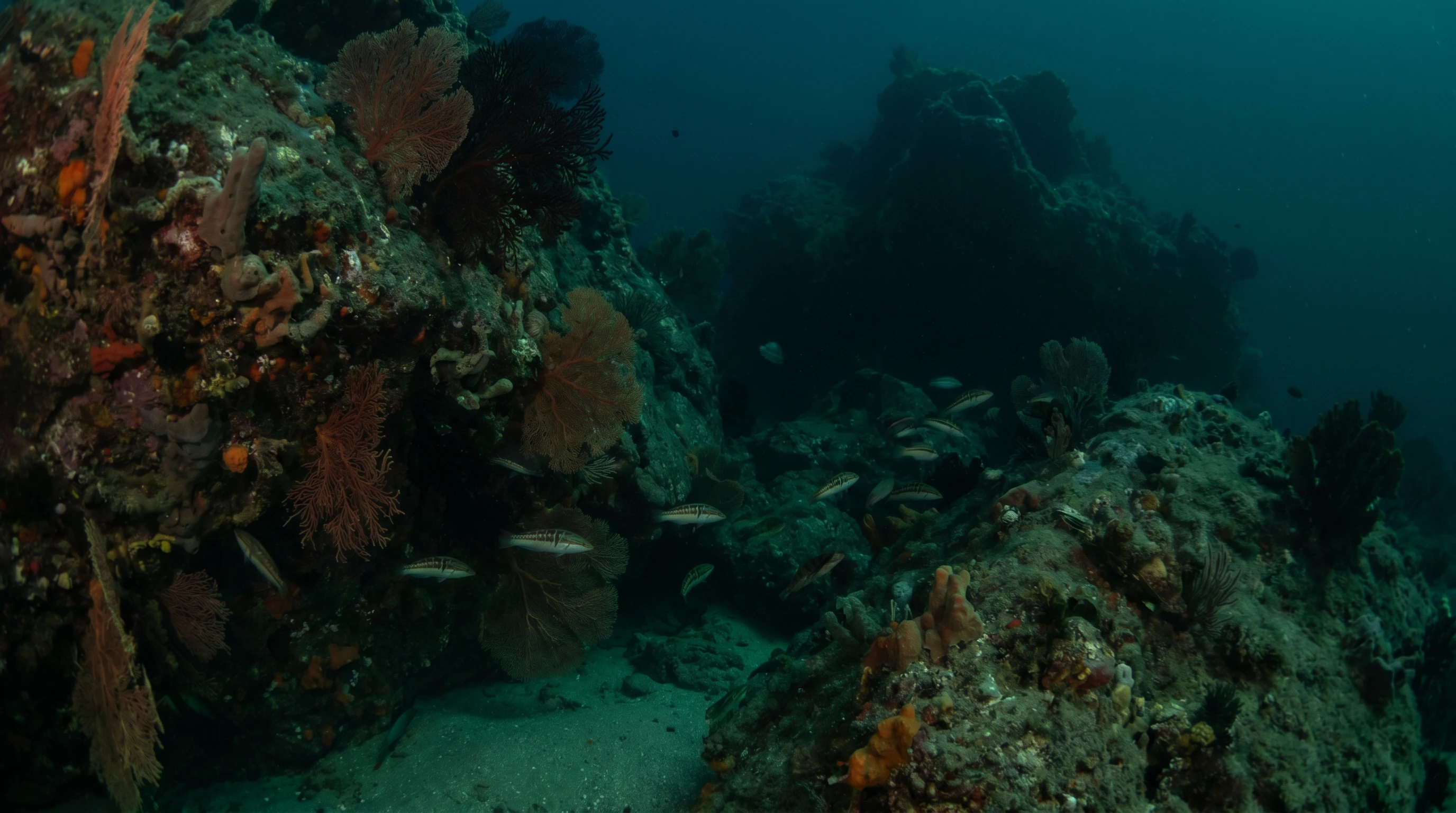 Iles des moyades