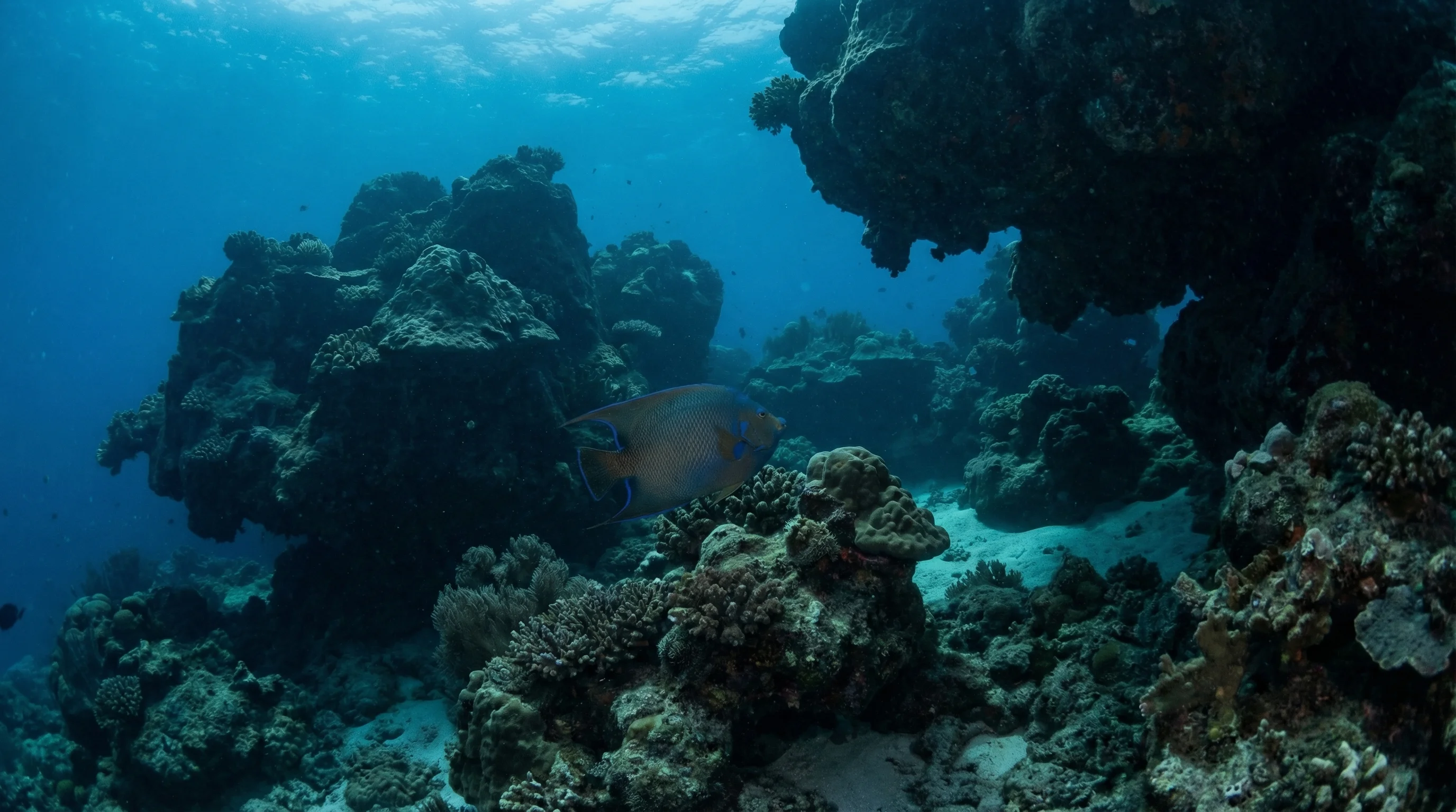 Dive site in Krabi