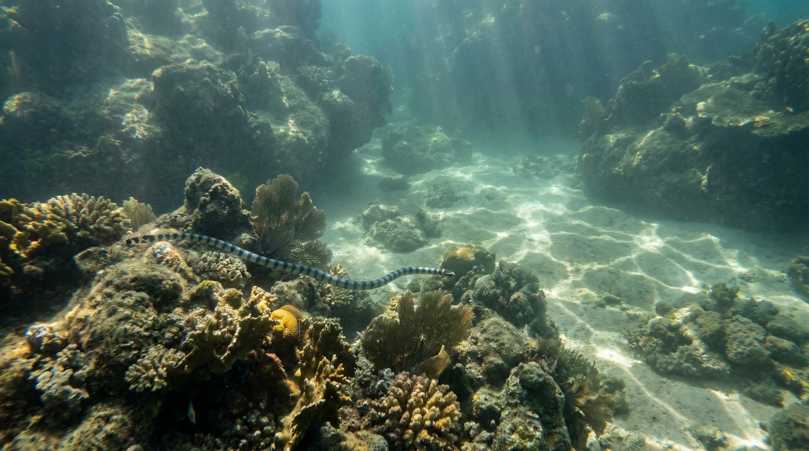 Dive site in Krabi