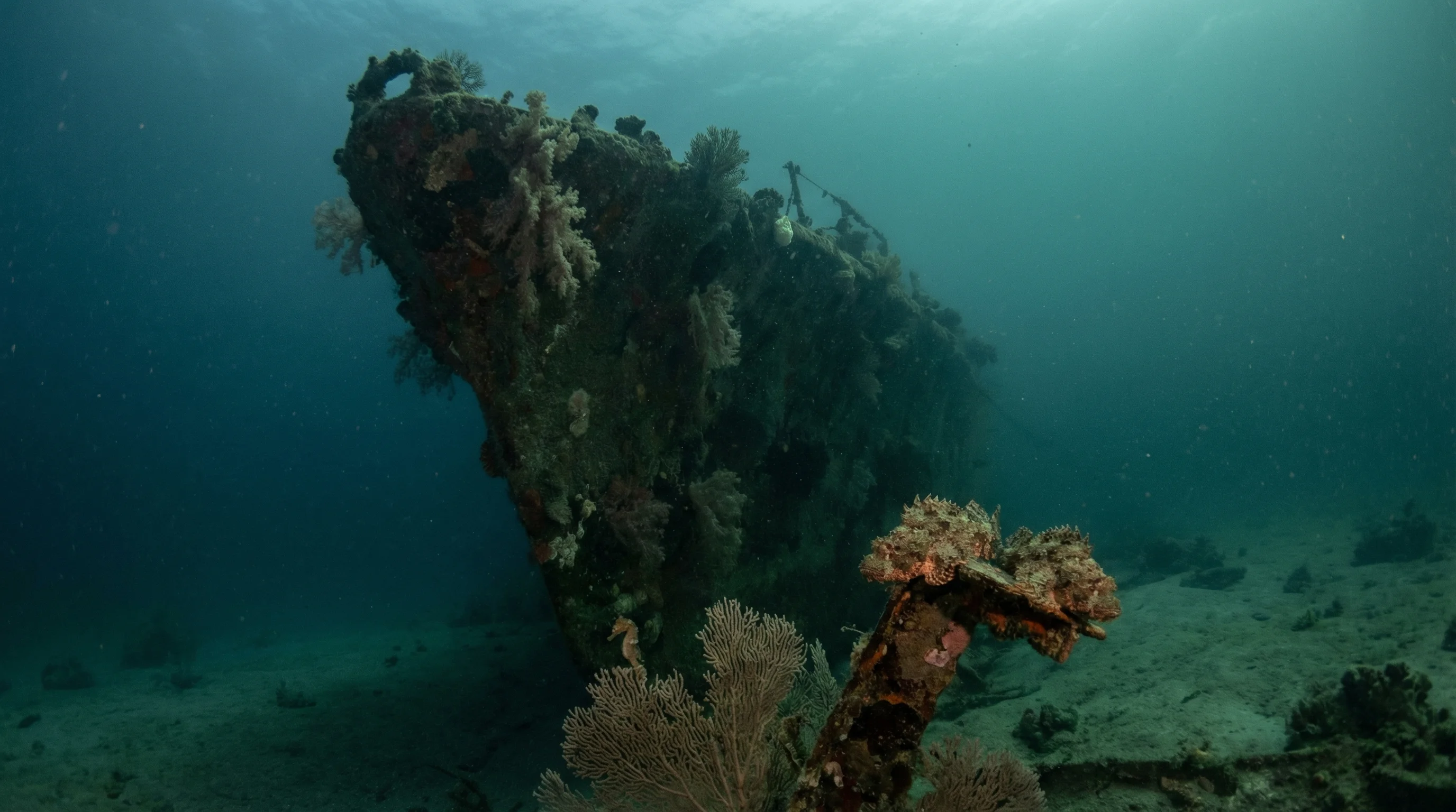 Koh Kraden Wreck