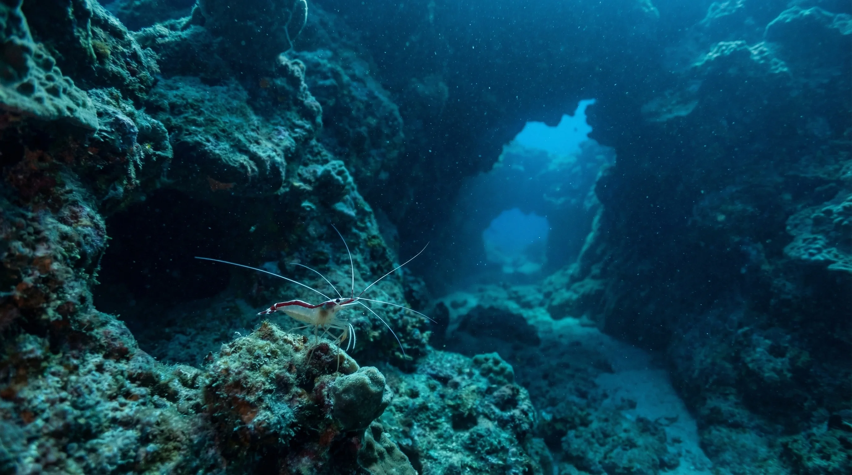 Dive site in Krabi