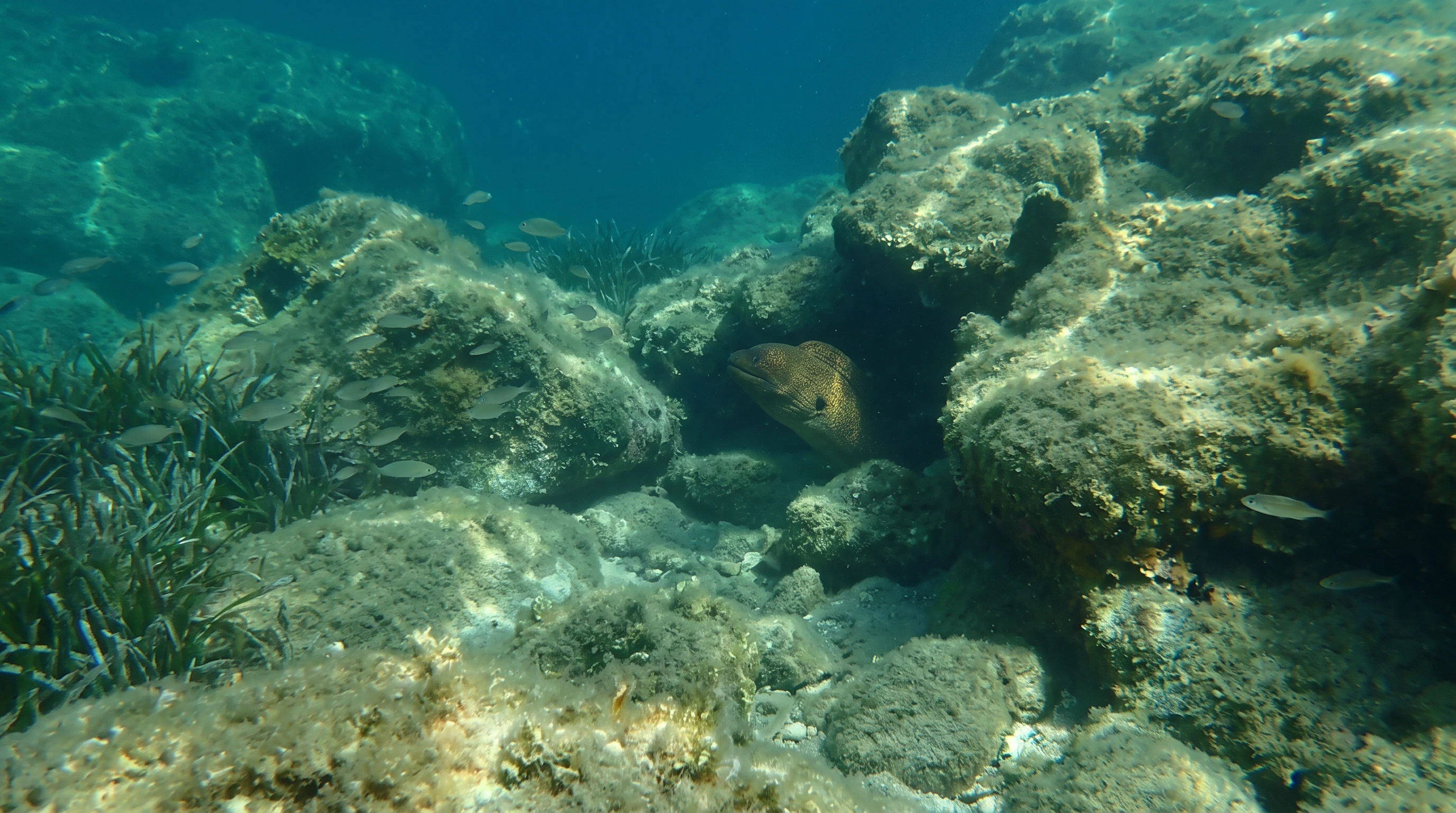 La Piscine de La Ciotat