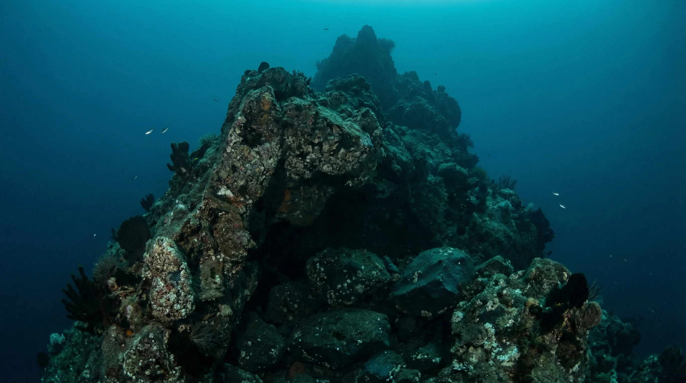 Dive site in Bay of Plenty