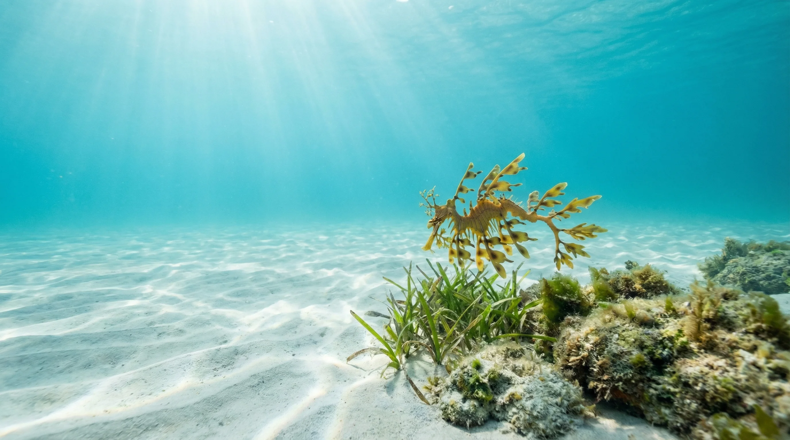 Little Wharton Beach