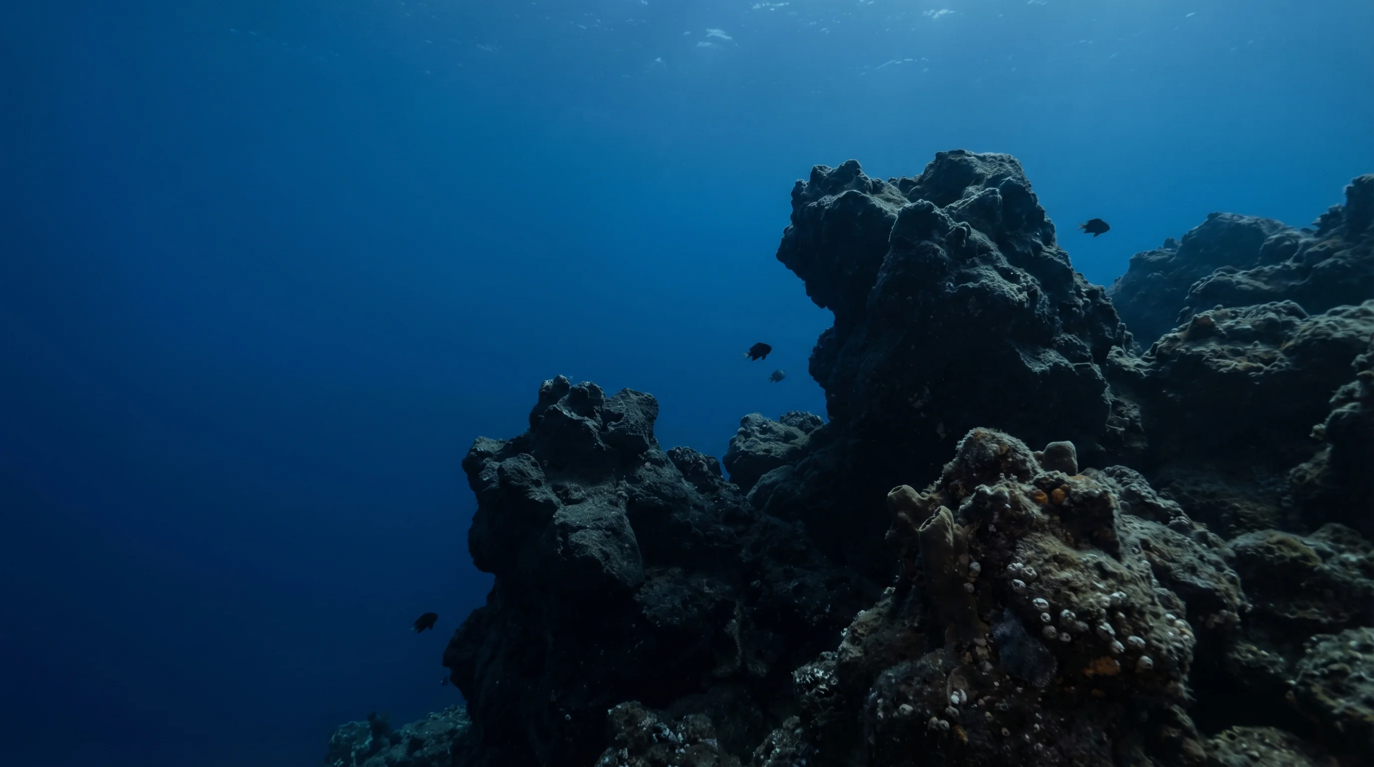 Manthos Reef