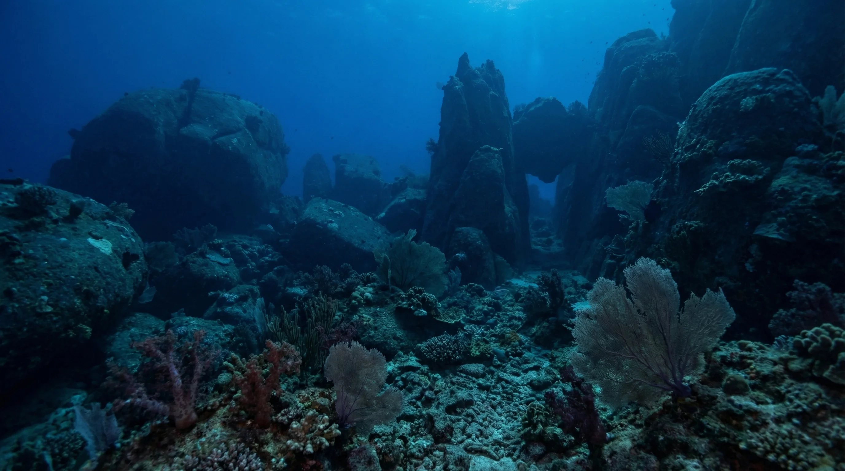 Maritus Rock