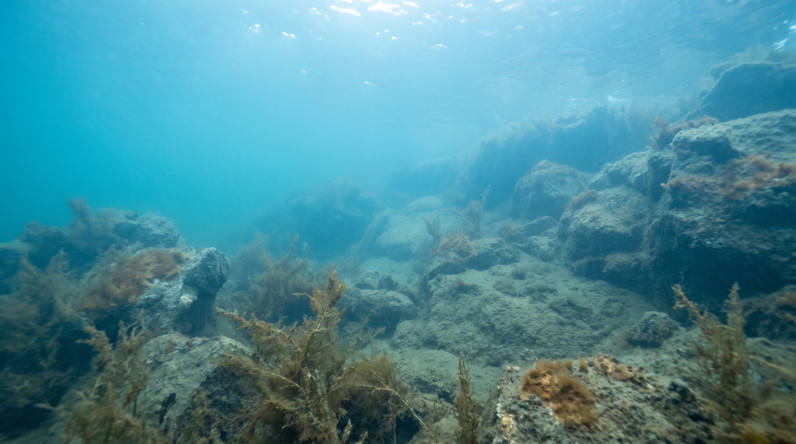 Dive site in Miracle Waters