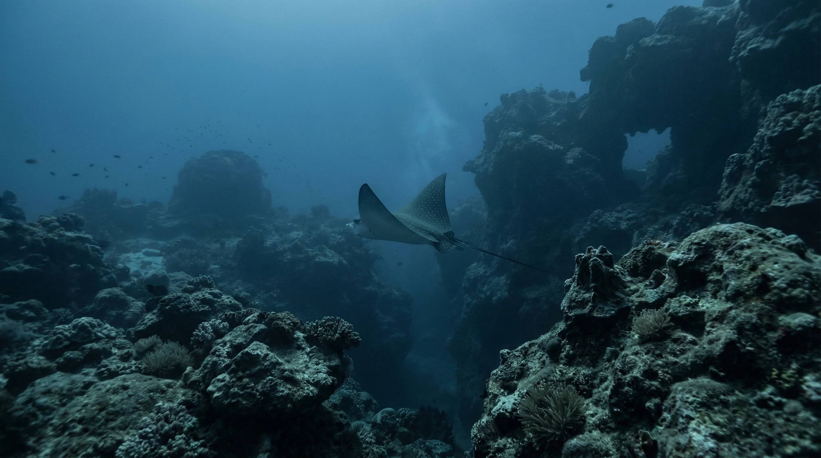 North Solitary Islands