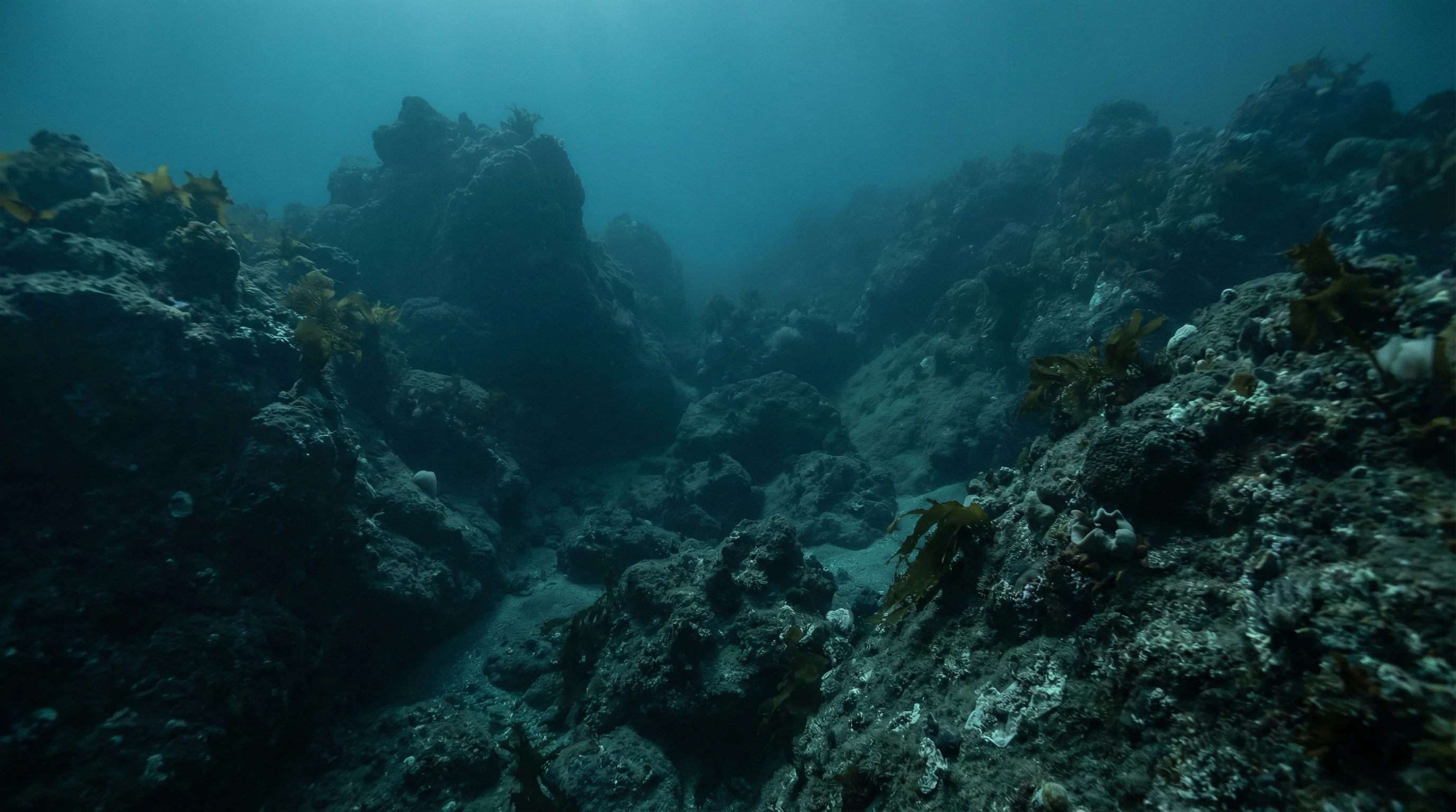 Okaparu Reef