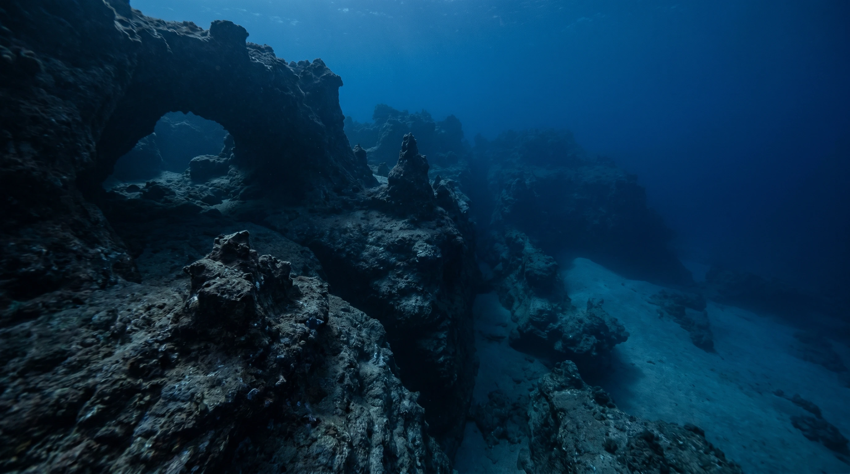 Dive site in South Africa