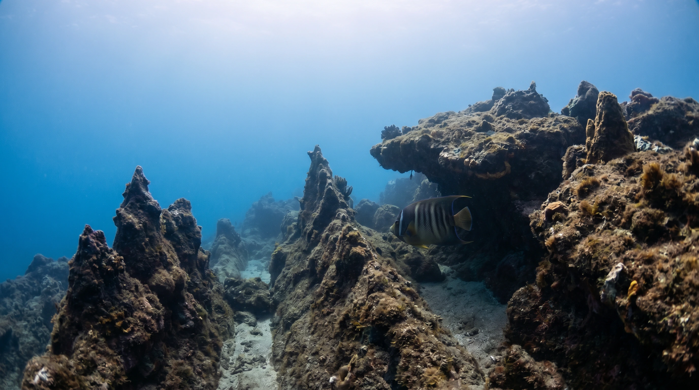 Dive site in Gulf of Papagayo